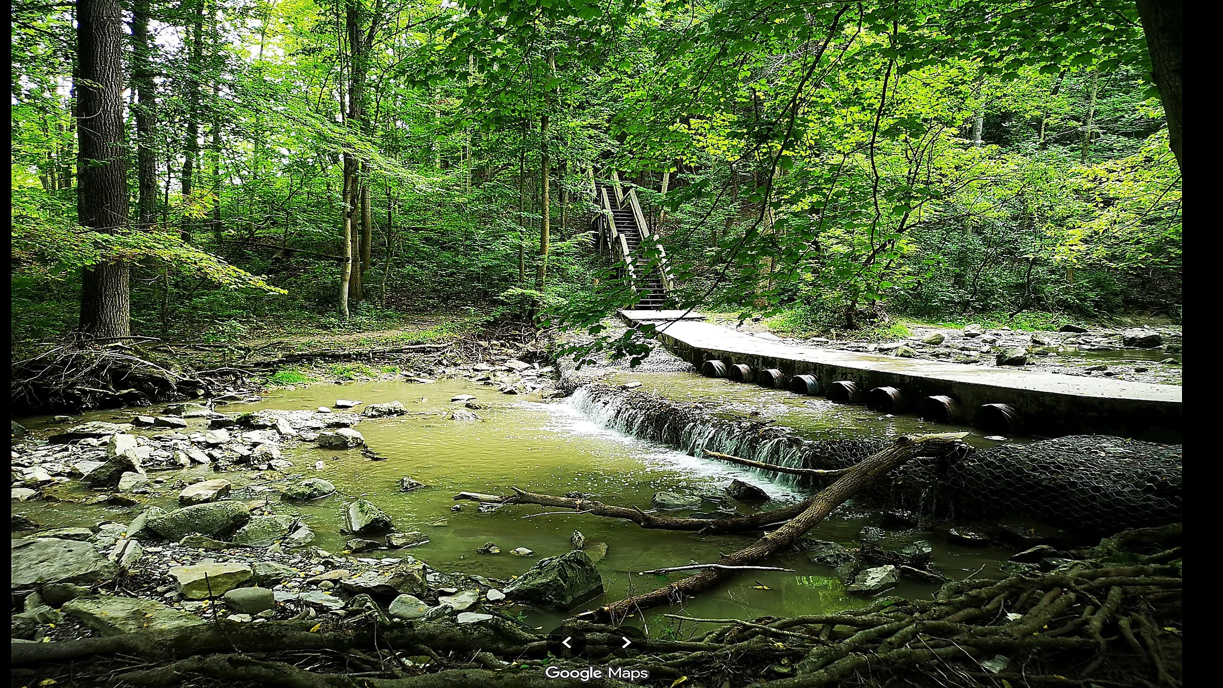 forest_waterfall_4k.jpg
