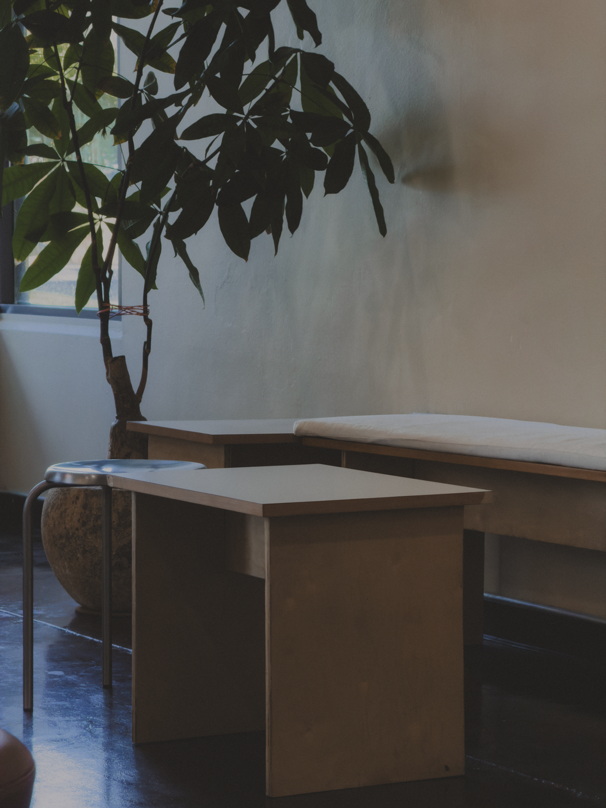 A corner of a room with a large potted plant, a small metal stool, and two wooden tables. One table has a cushioned surface, and the other is clear. There is a window with natural light, and the floor appears to be polished dark wood.