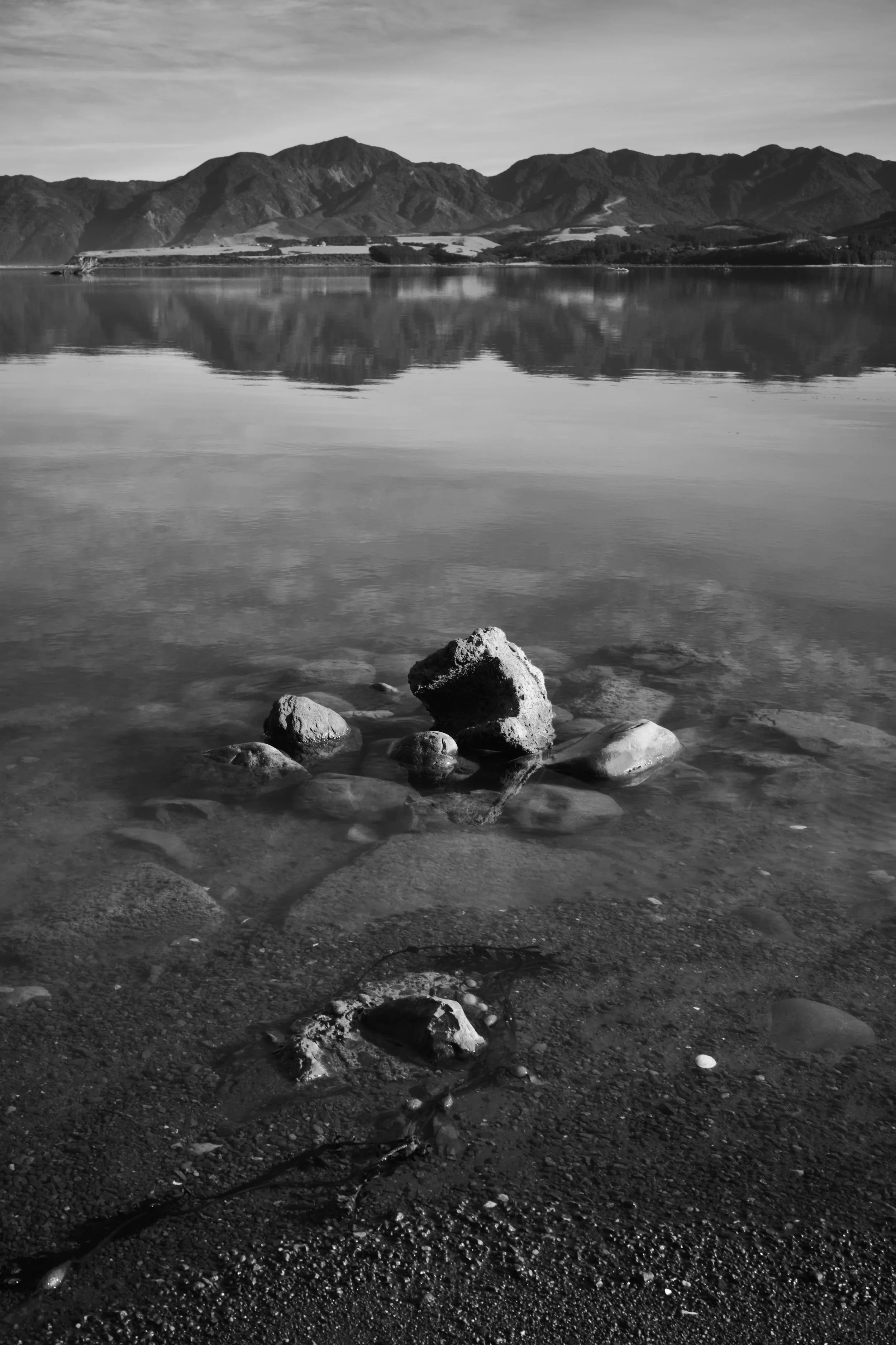 DSC_0999.jpeg
