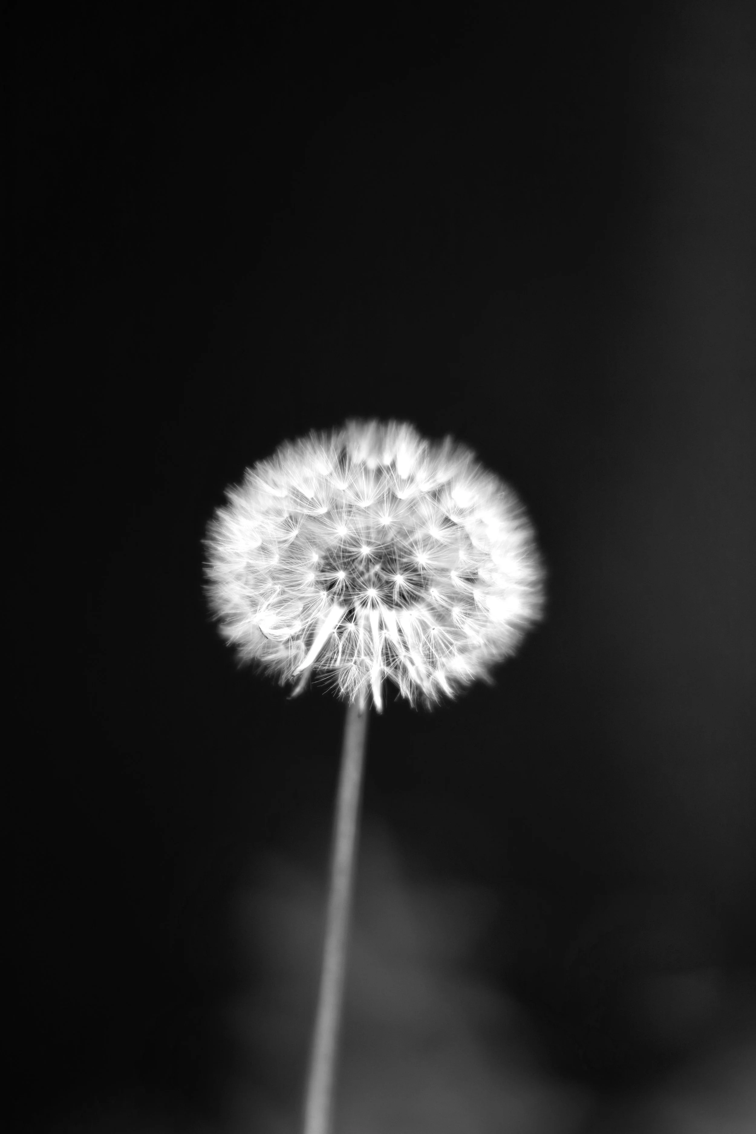 IMG_8918.jpeg
