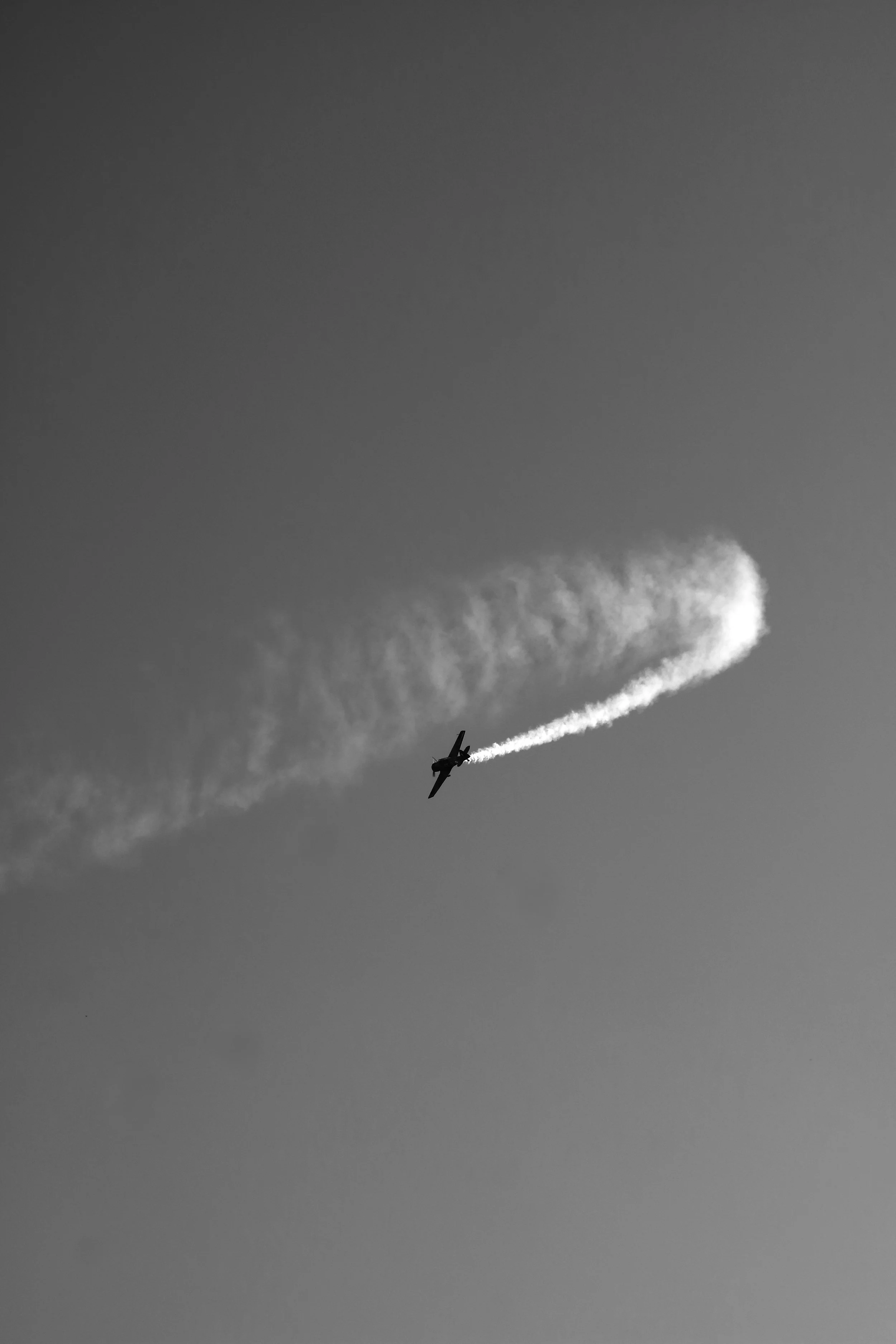IMG_9453.jpeg