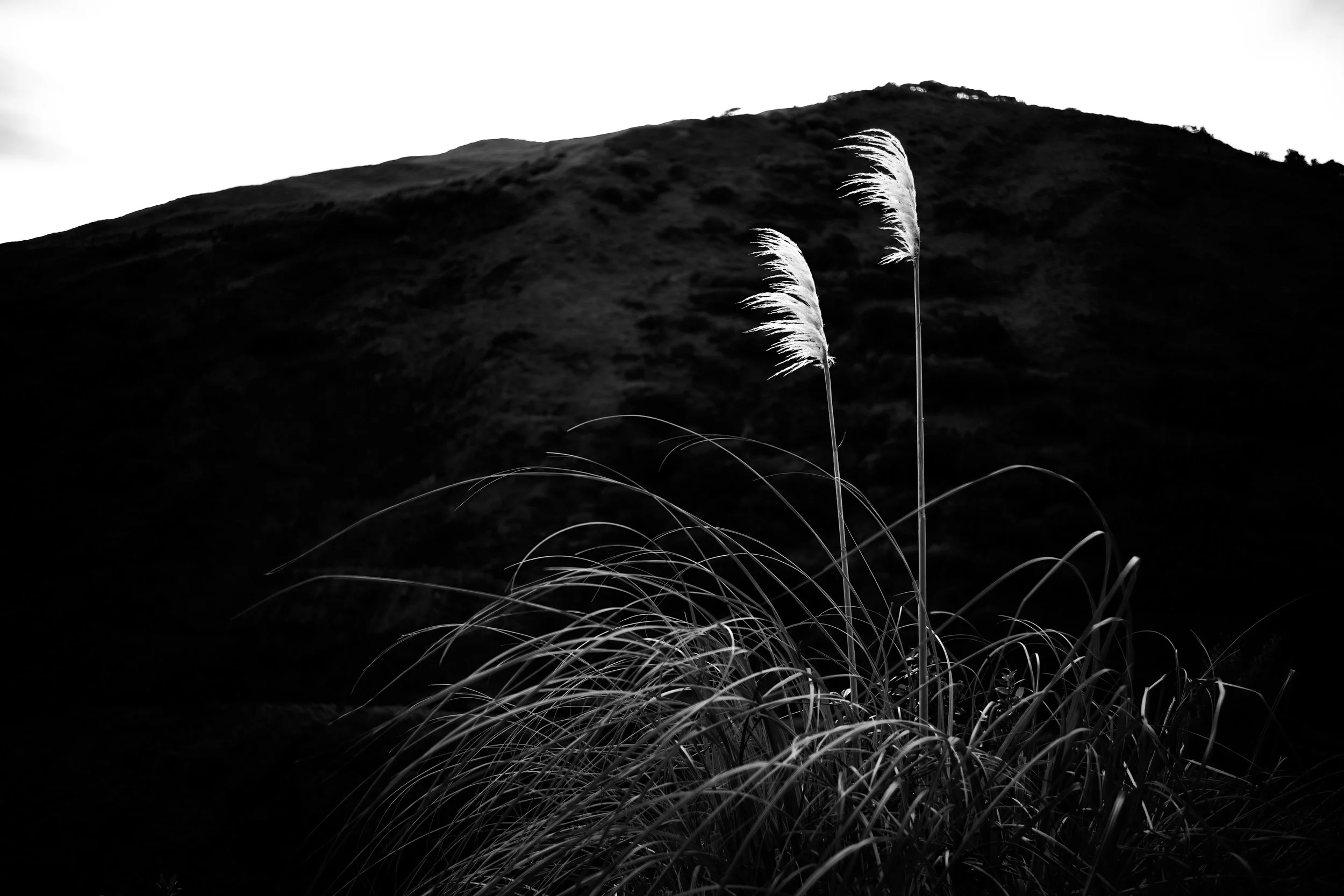 DSC_1582.jpeg