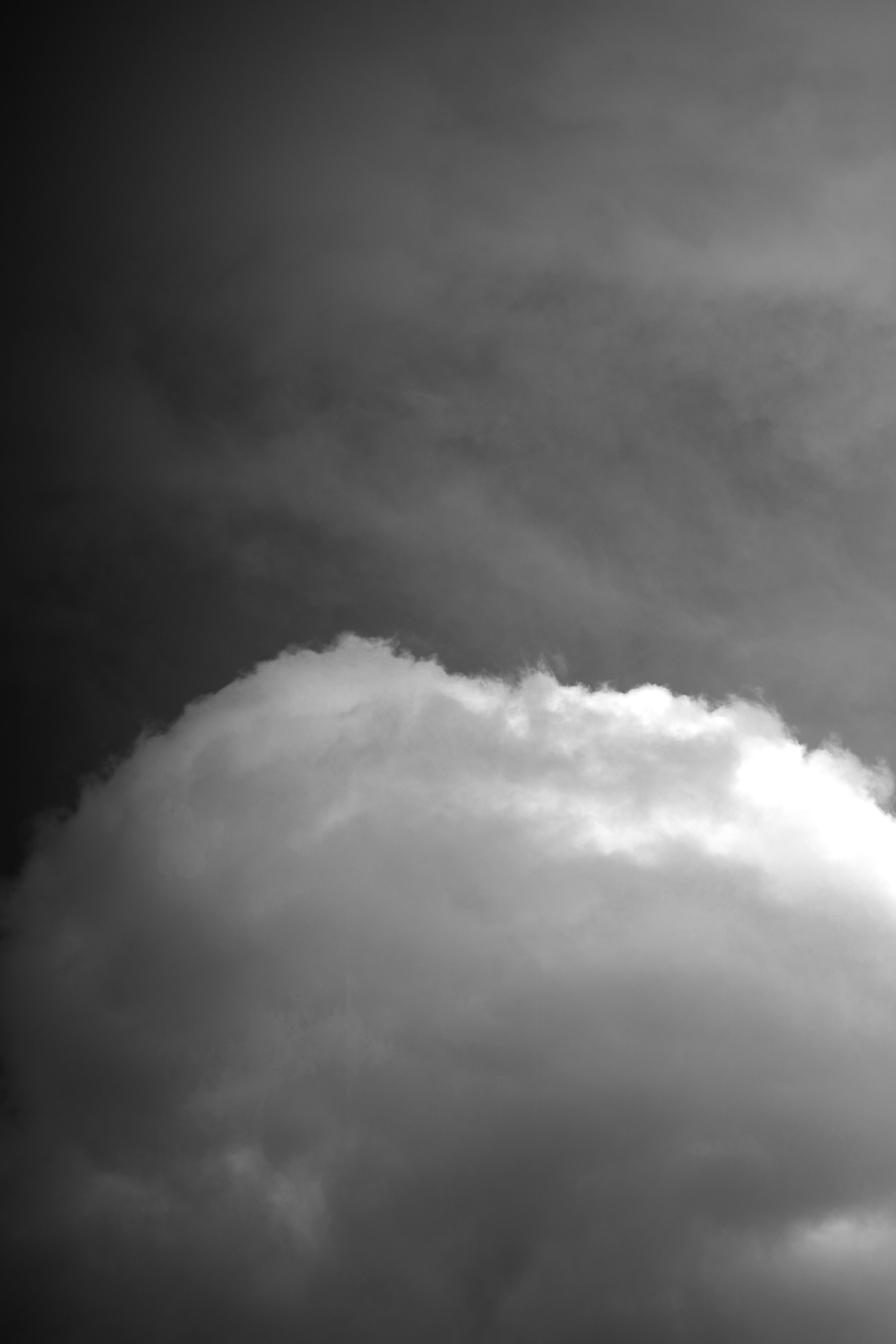 IMG_6151.jpeg