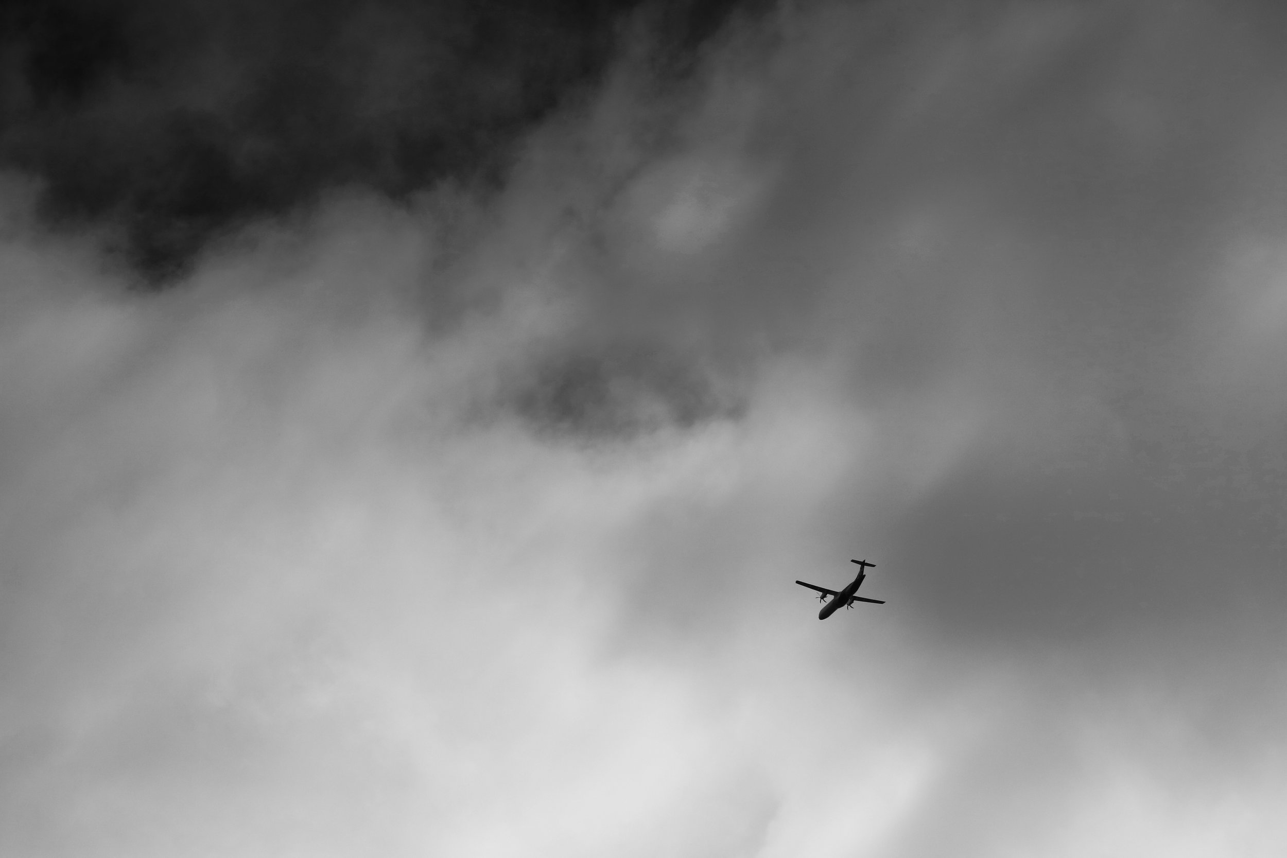 IMG_8294.jpeg