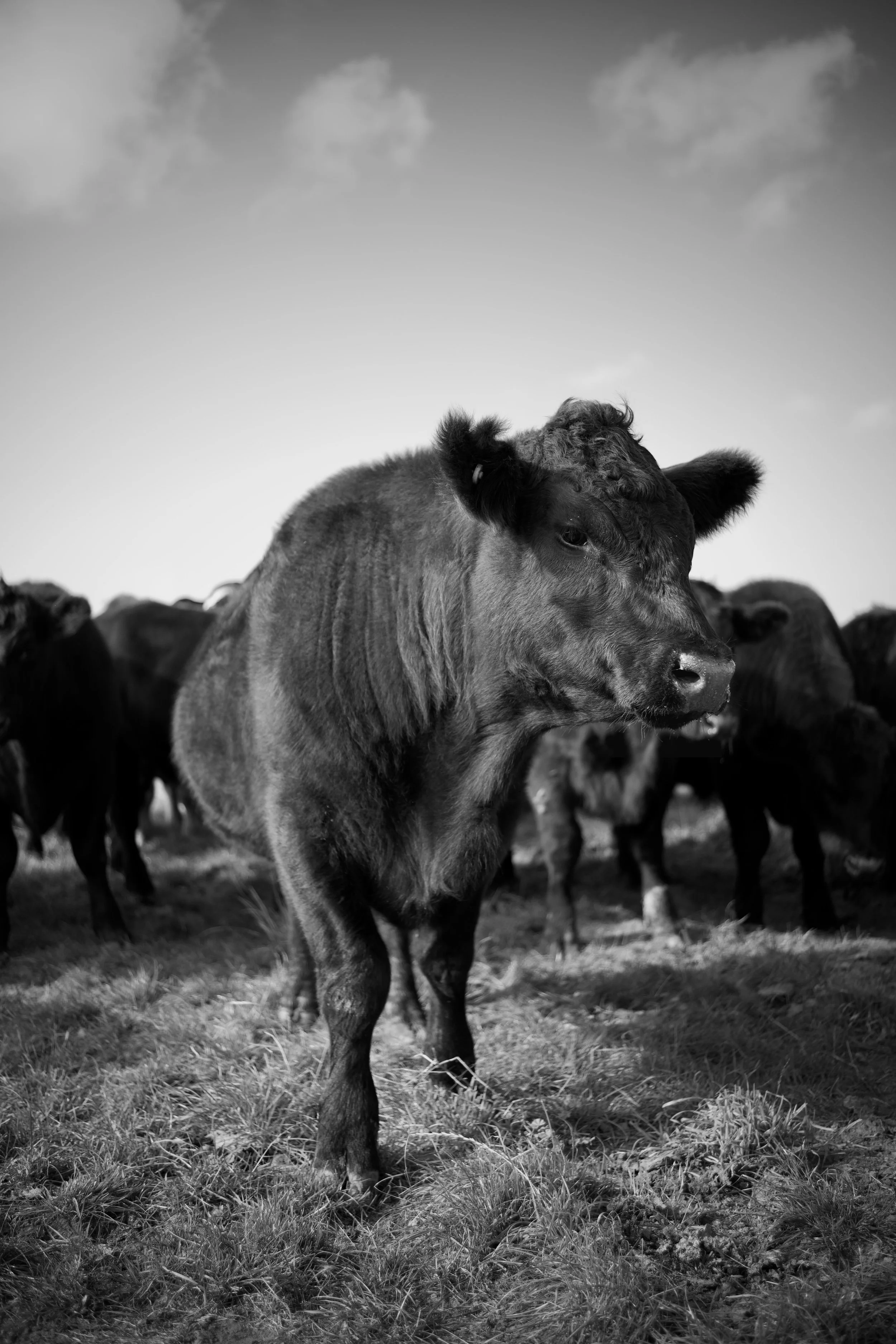 DSC_0636.jpeg