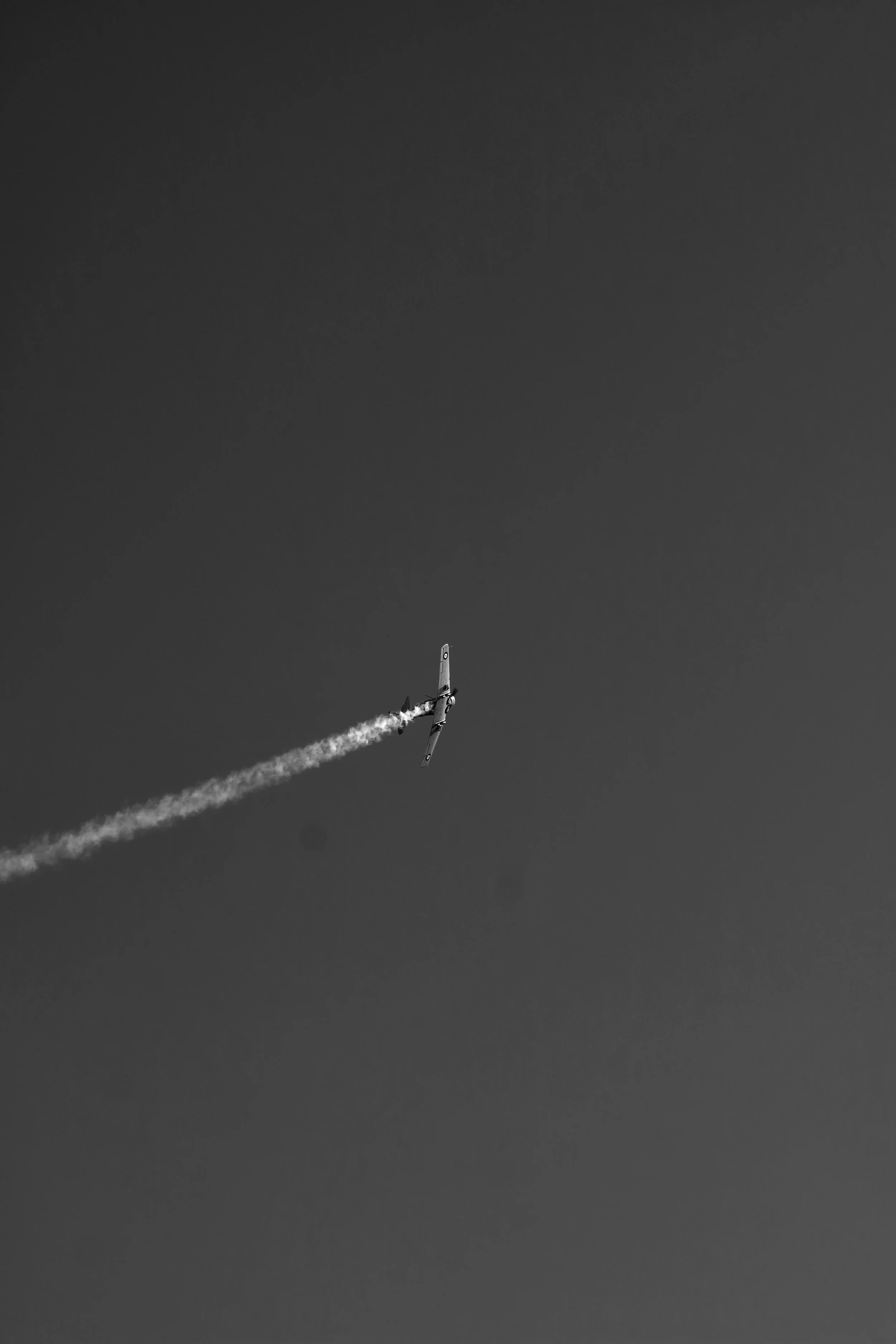 IMG_9451.jpeg