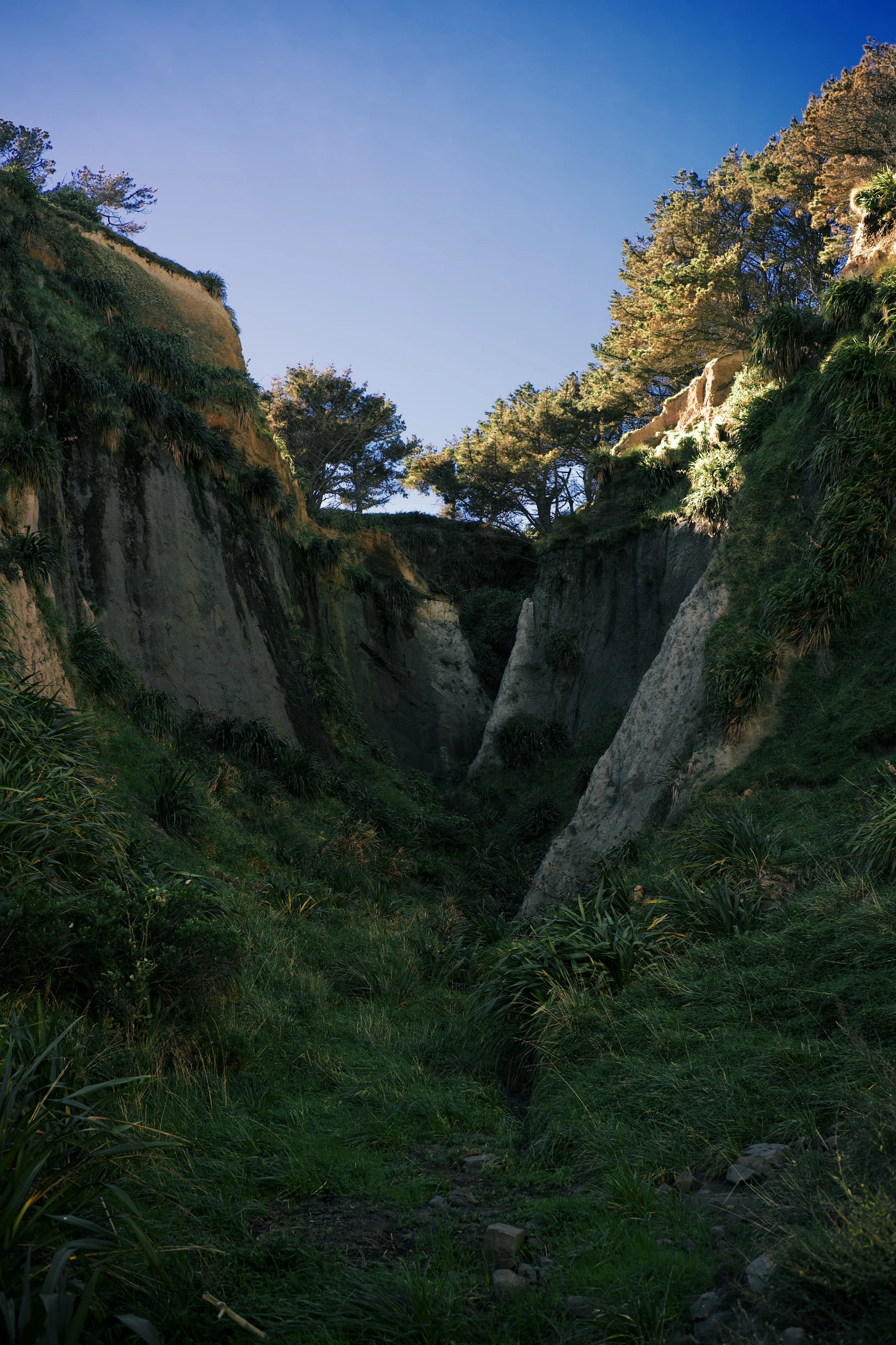 DSC_1107.jpeg