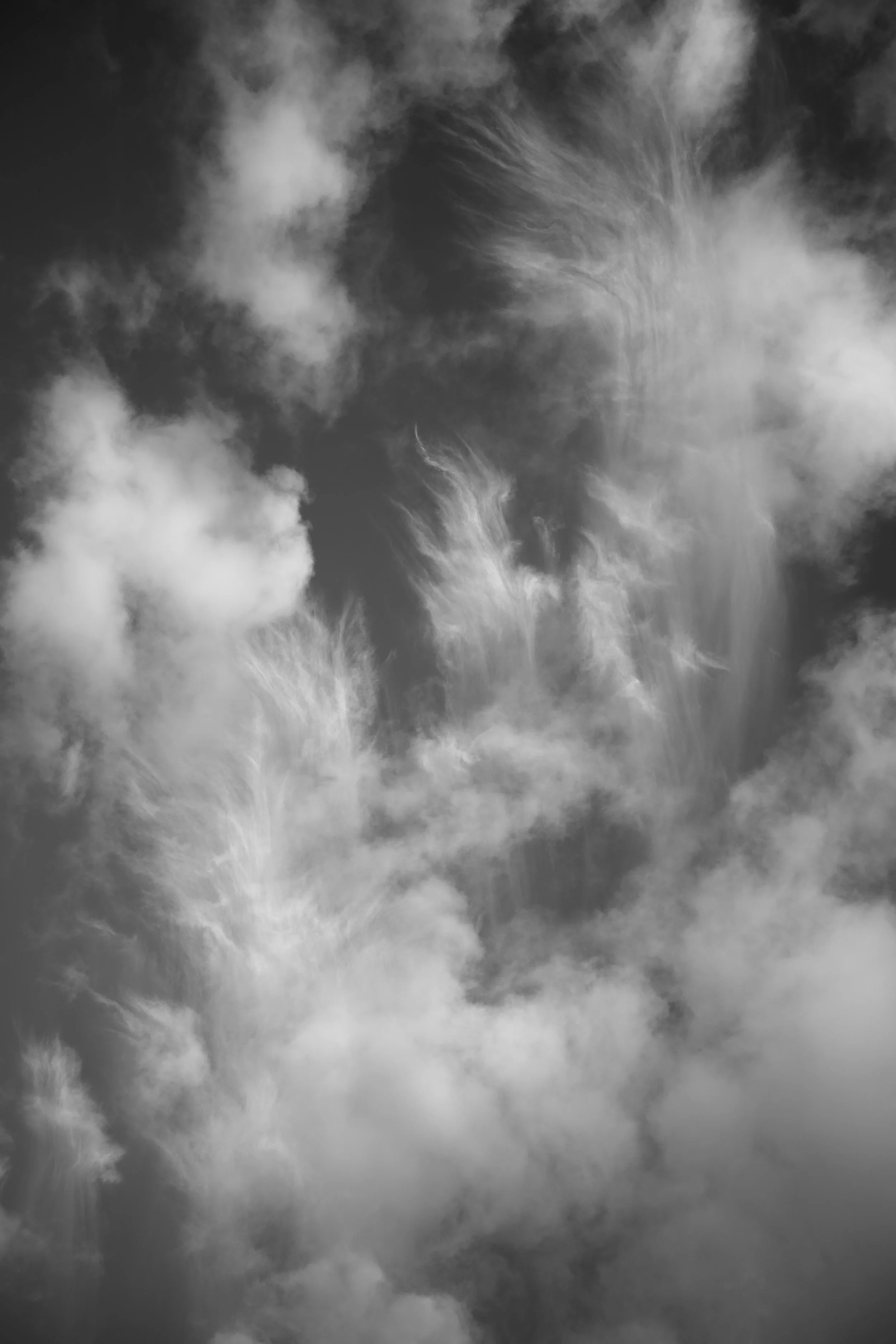 DSC_0322.jpeg