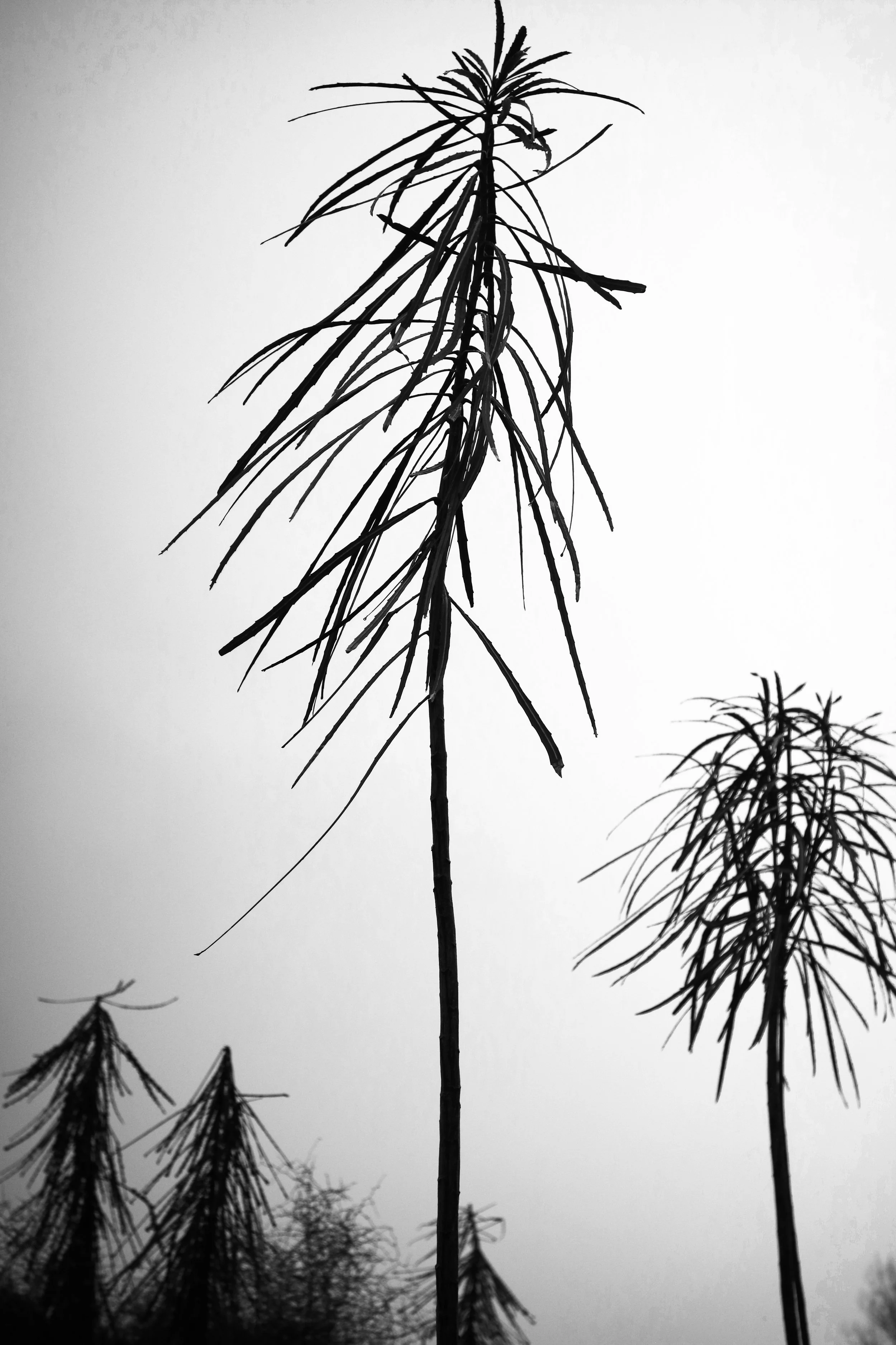 IMG_6214.jpeg