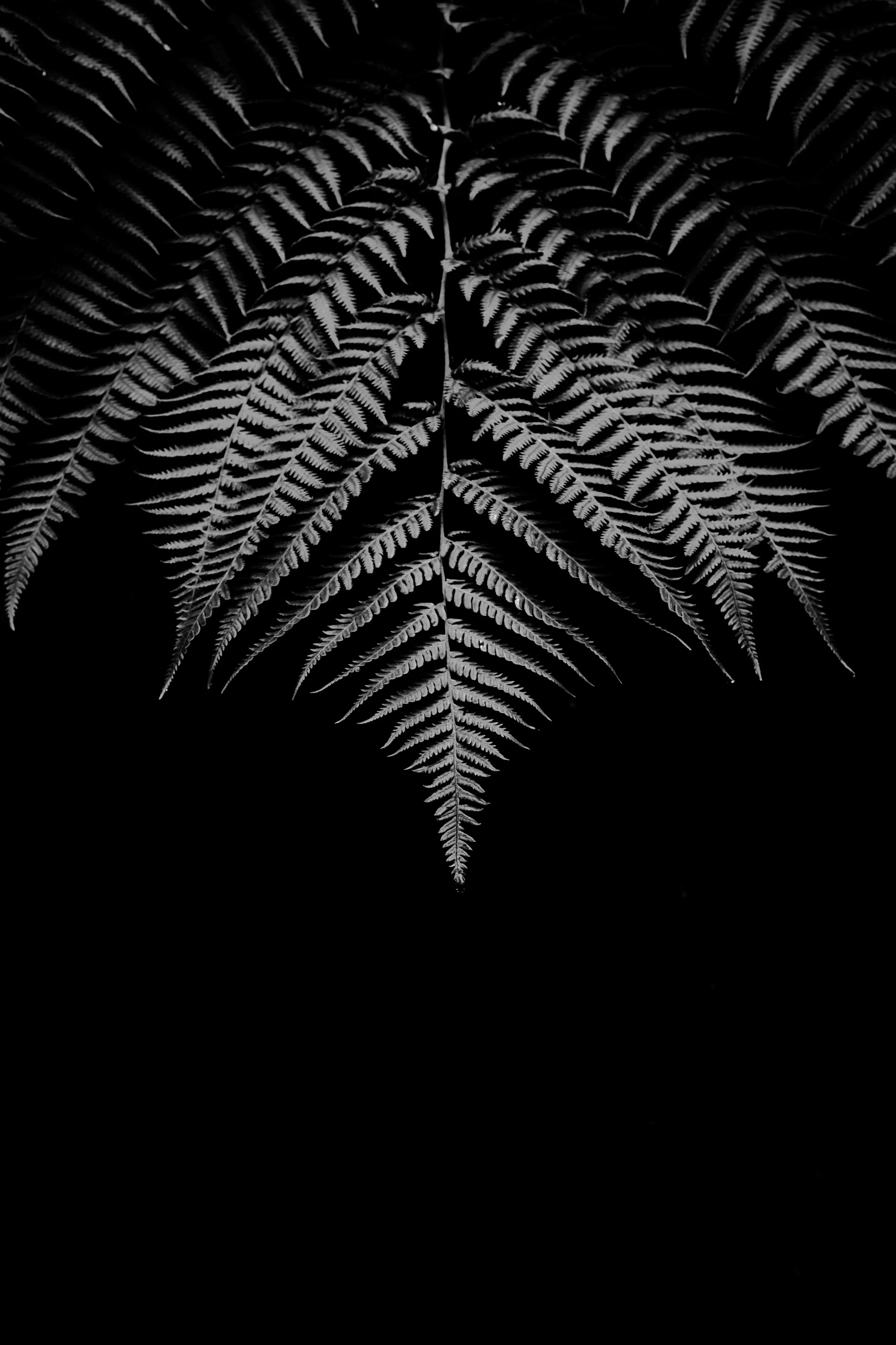 DSC_1288.jpeg