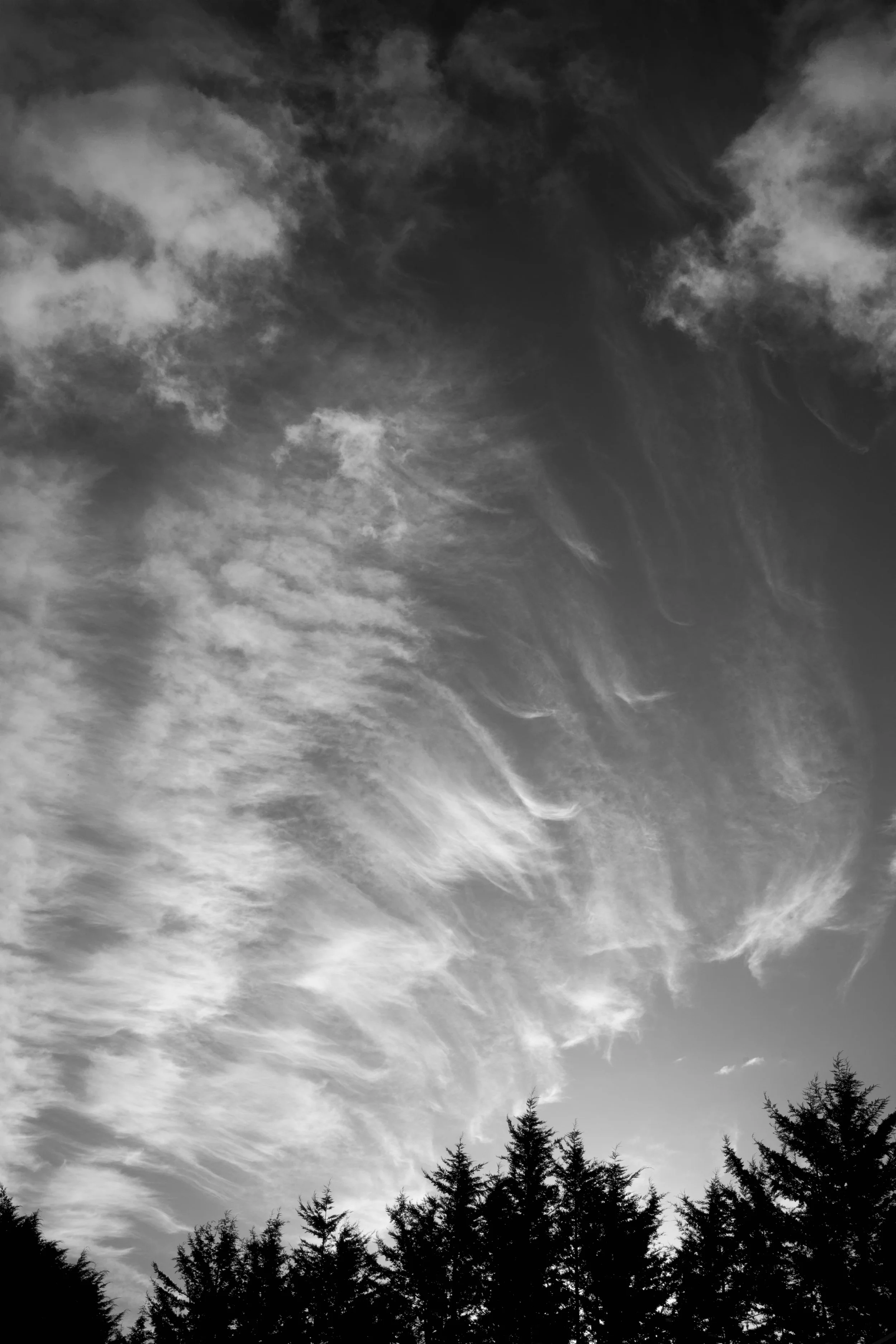DSC_0320.jpeg