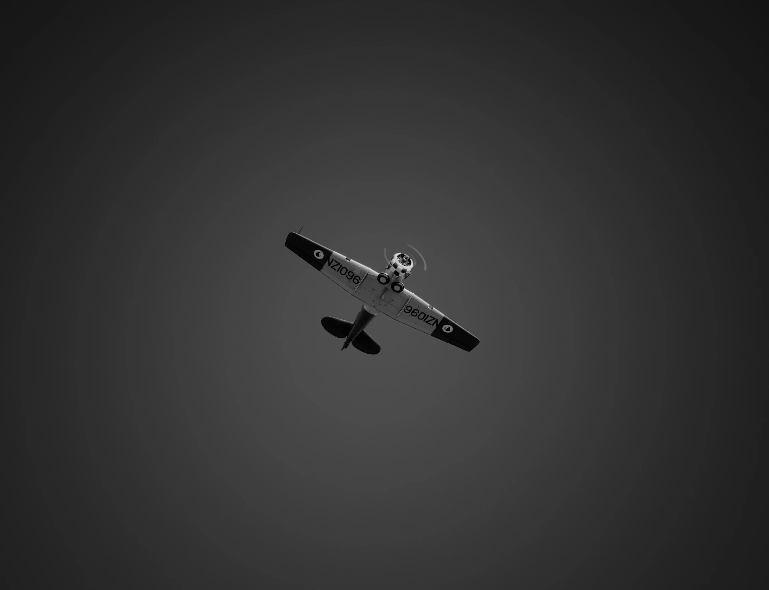 DSC_0370.jpeg
