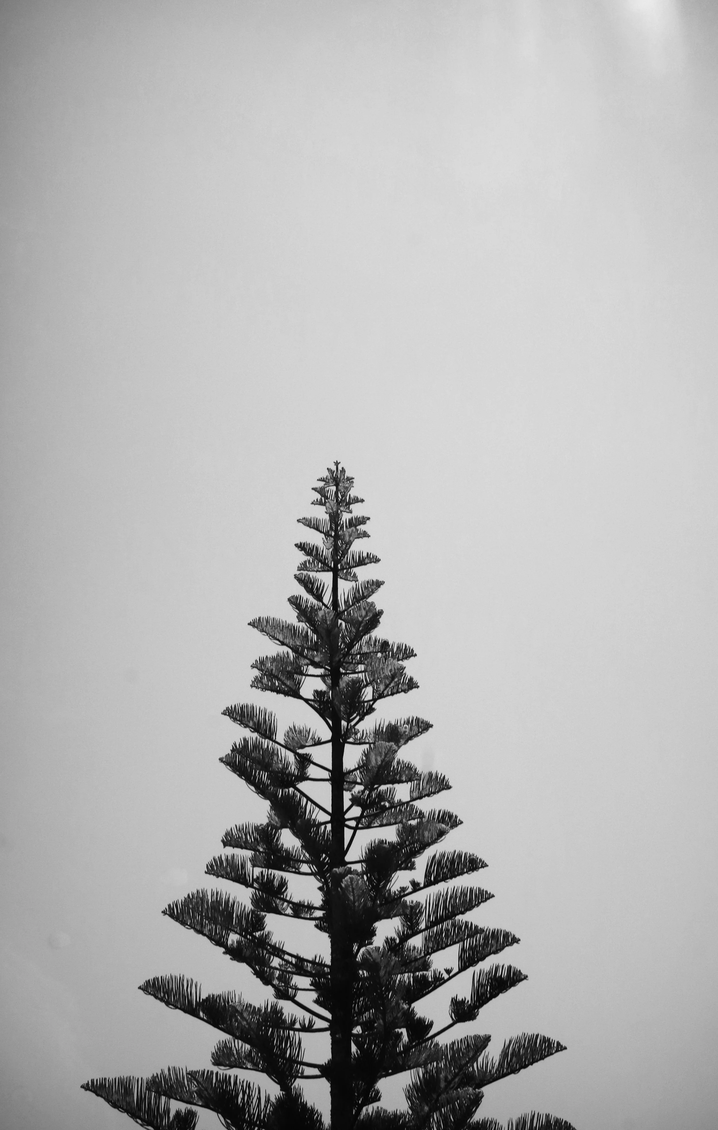 IMG_6501.jpeg