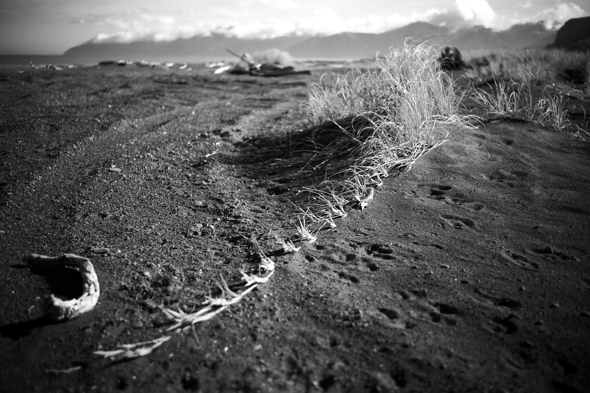 DSC_1128.jpeg