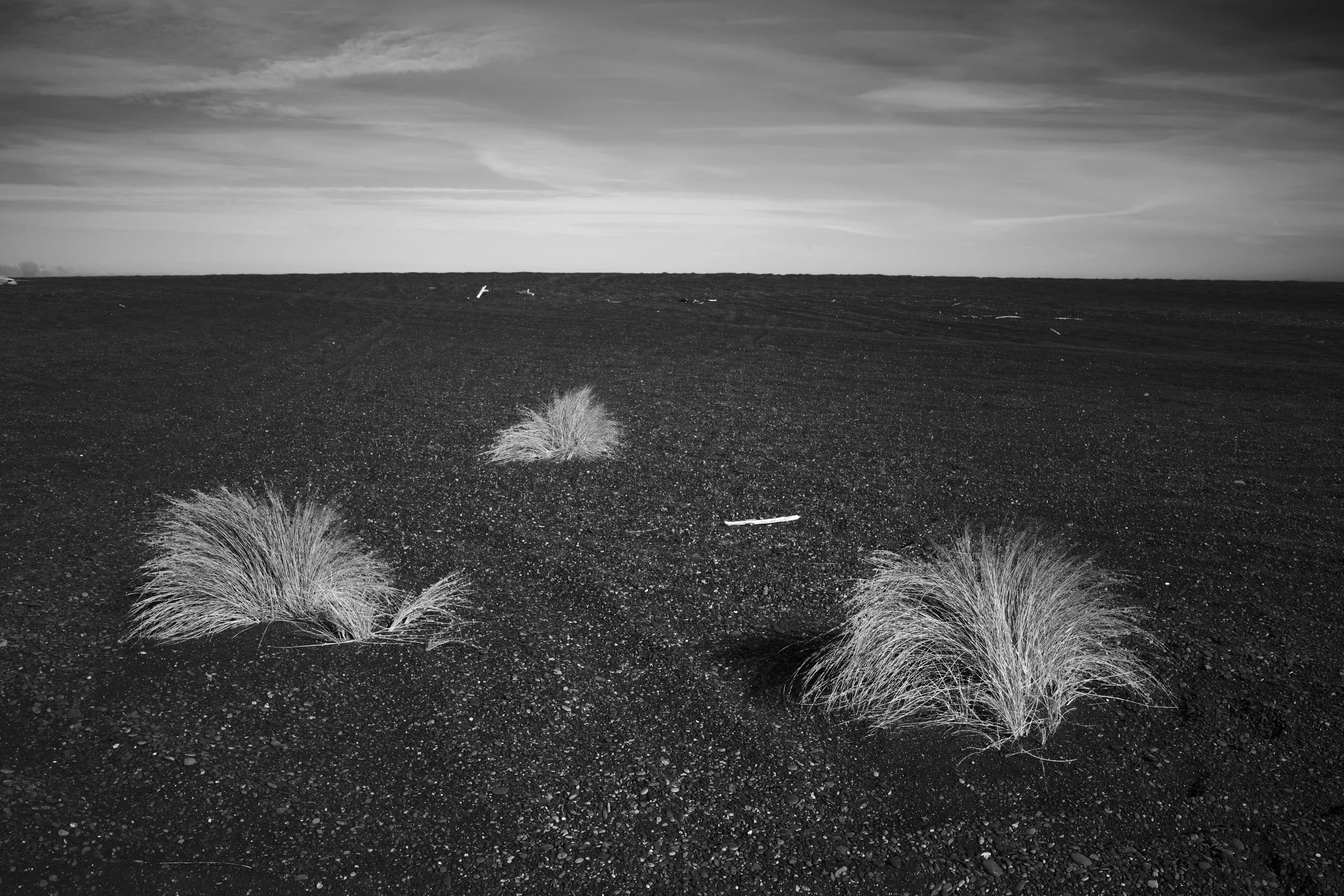 DSC_1161.jpeg