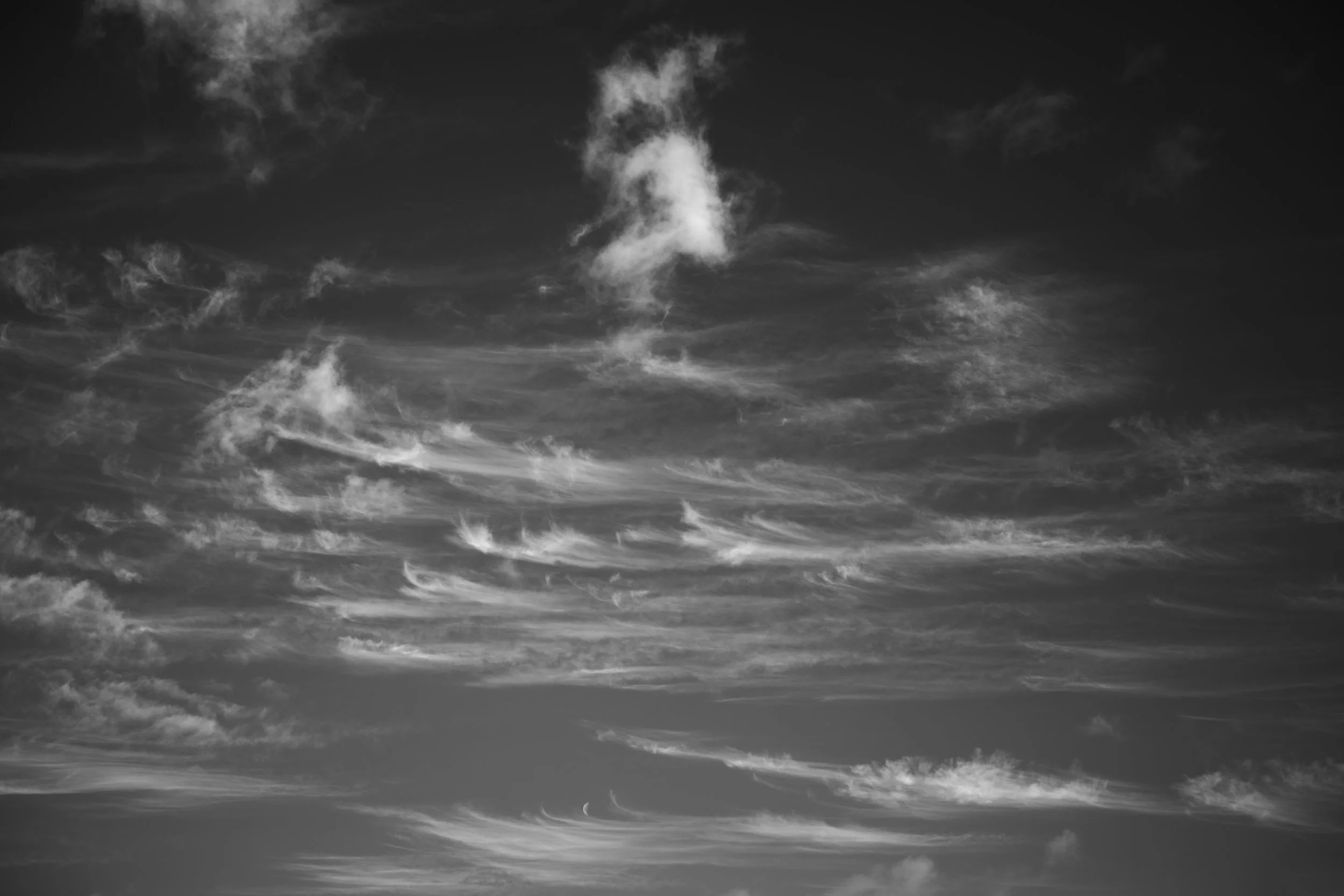 DSC_0321.jpeg