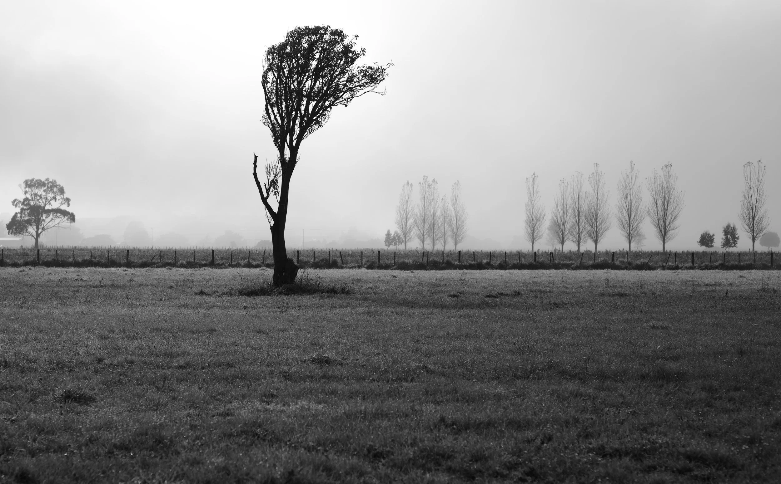 DSC_0486.jpeg