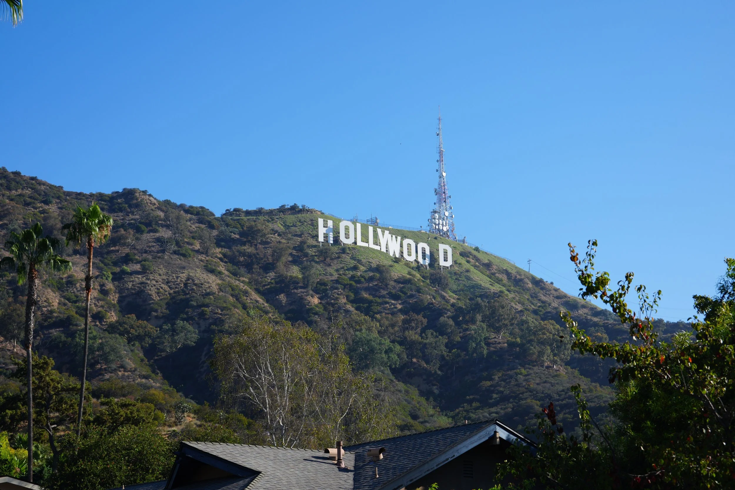 The Hollywood Sign 🪧☀️
.
#losangeles #hollywood #hollywoodsign
.
📸 Straight from the camera!
💻 No editing, as-is picture!
