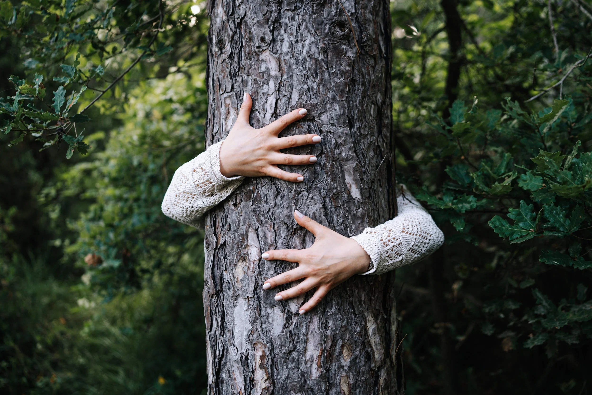 How Attachment Patterns Shape Relationships