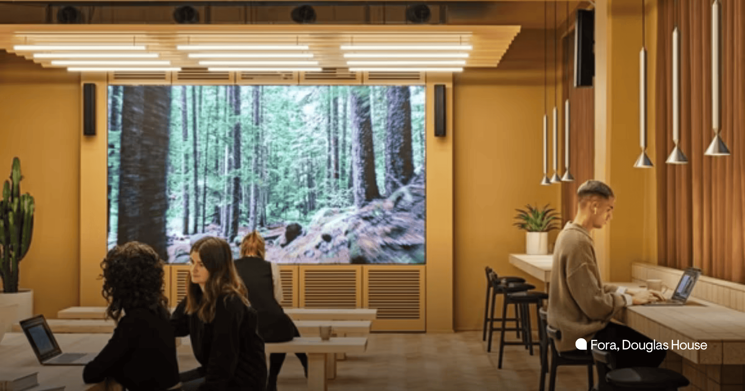 How to balance workspace financial controls with employee flexibility