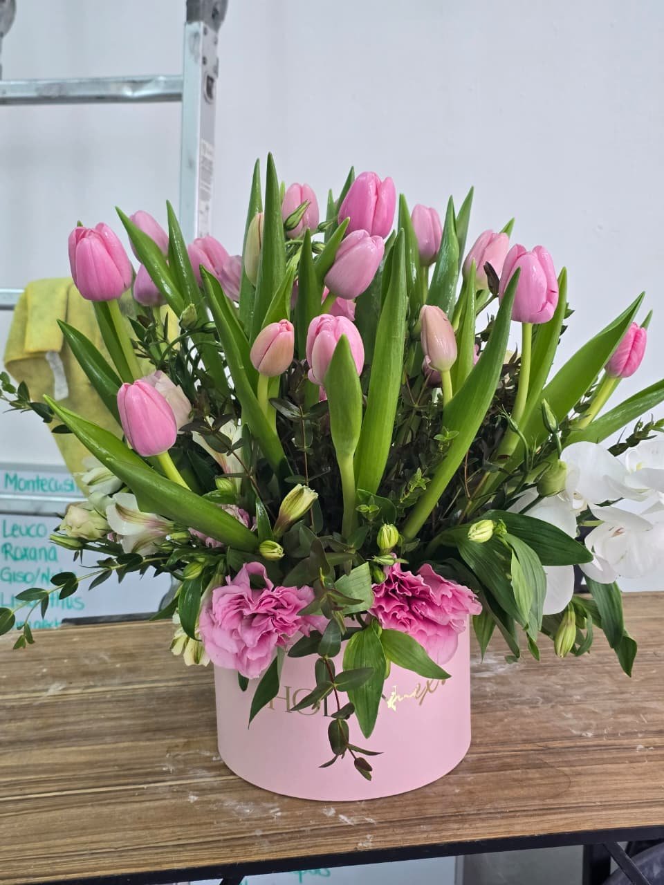 WhatsApp Image 2026-03-29 at 12.37.14 PM.jpeg