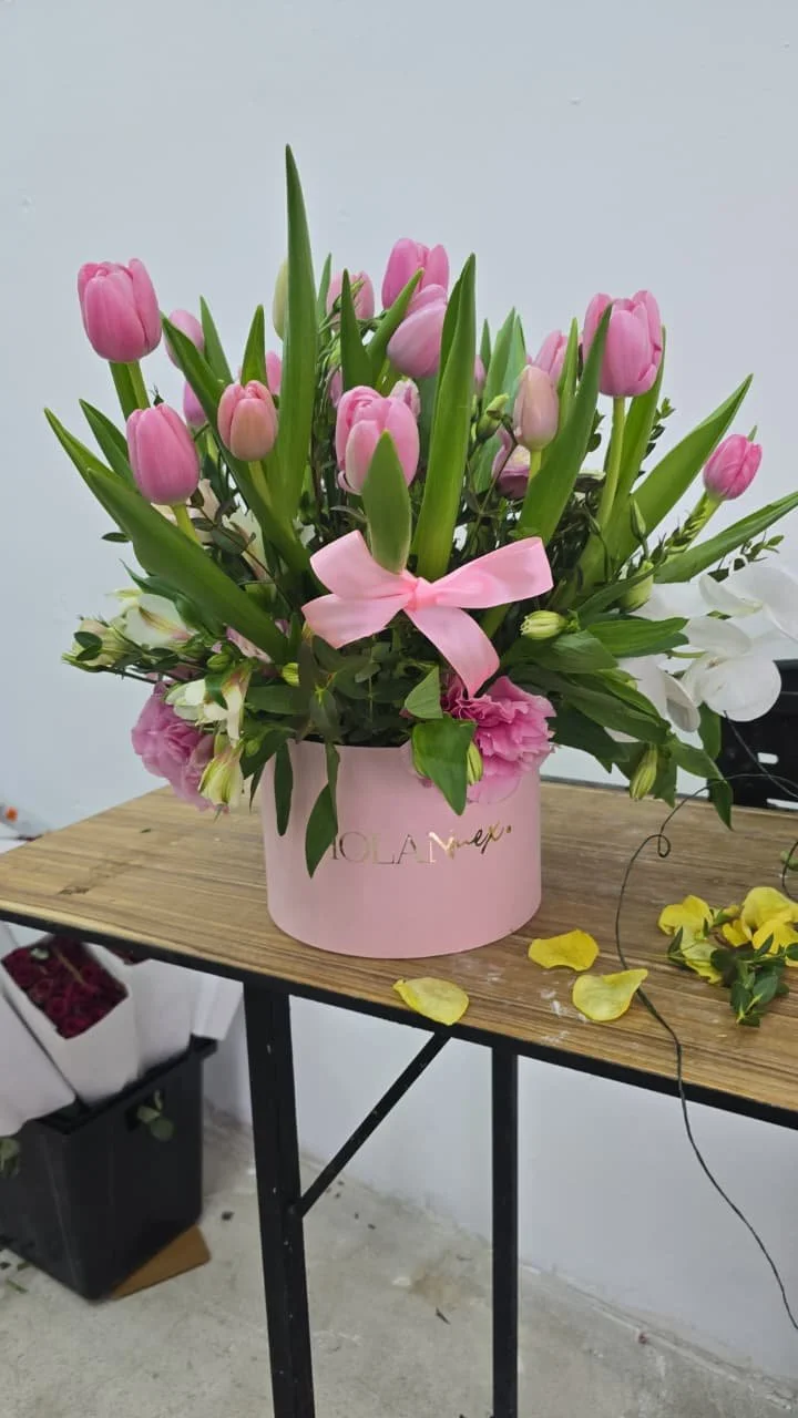 Box de 20 Tulipanes
