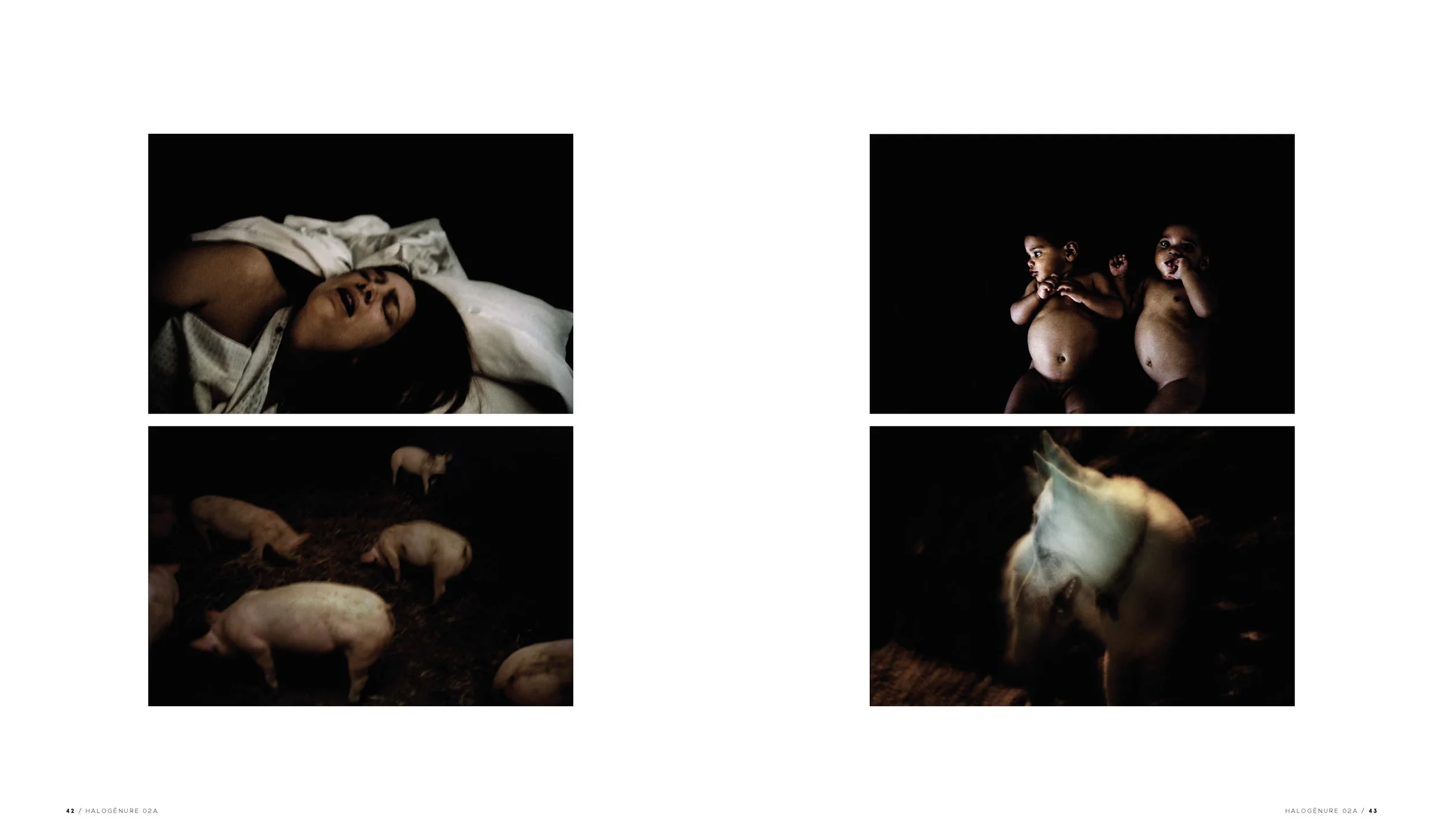 Quatre images sombres. En haut à gauche, une femme endormie dans un lit. En haut à droite, deux bébés nus assis sur un fond noir. En bas à gauche, un groupe de cochons dans la poussière sombre. En bas à droite, un cheval blanc dans une lumière tamisé