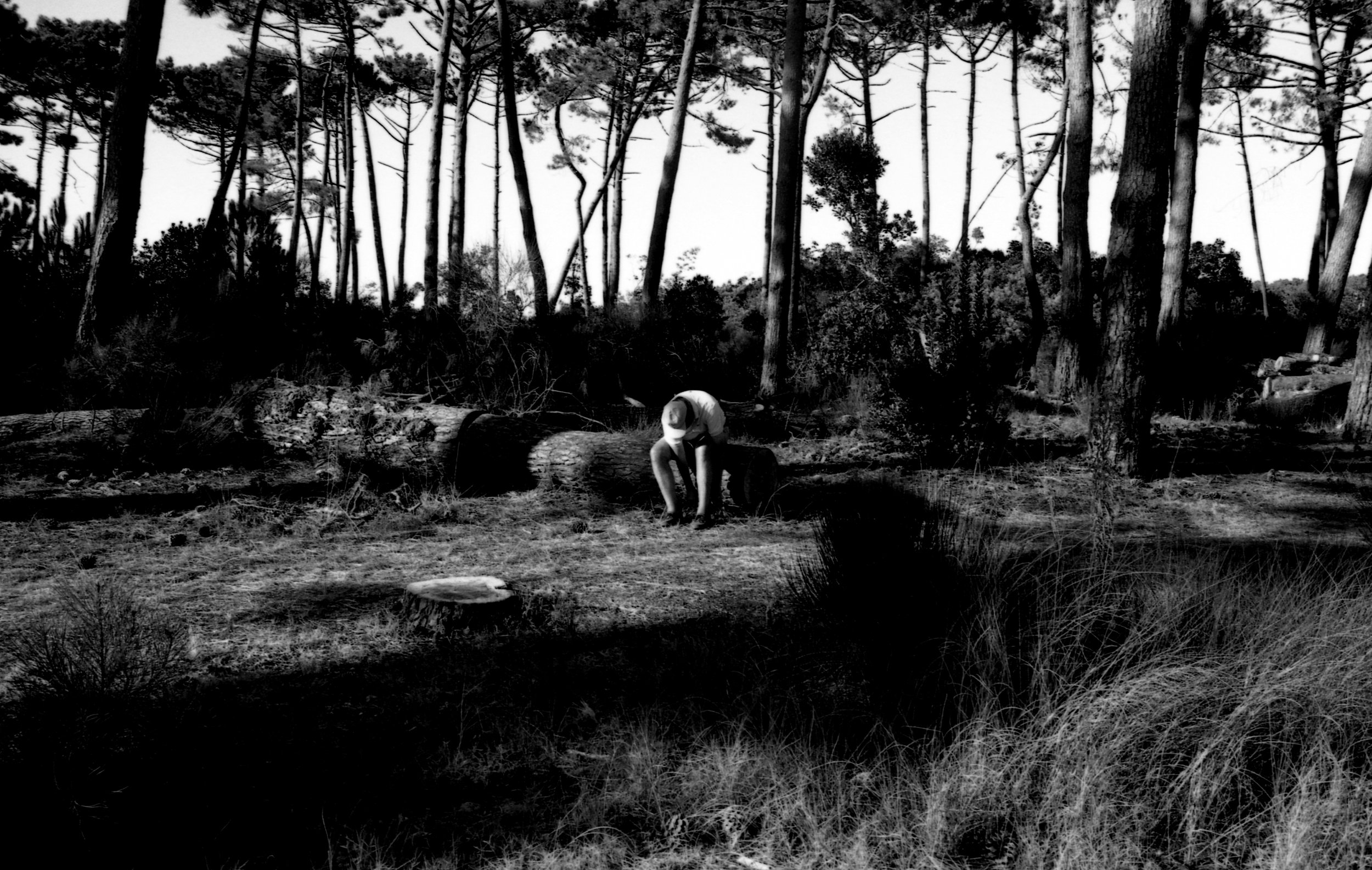 Eté 2009-Ag-08.jpg