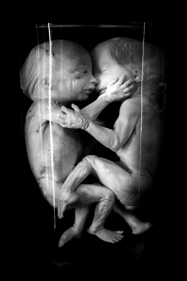 Nouvelles images et écriture