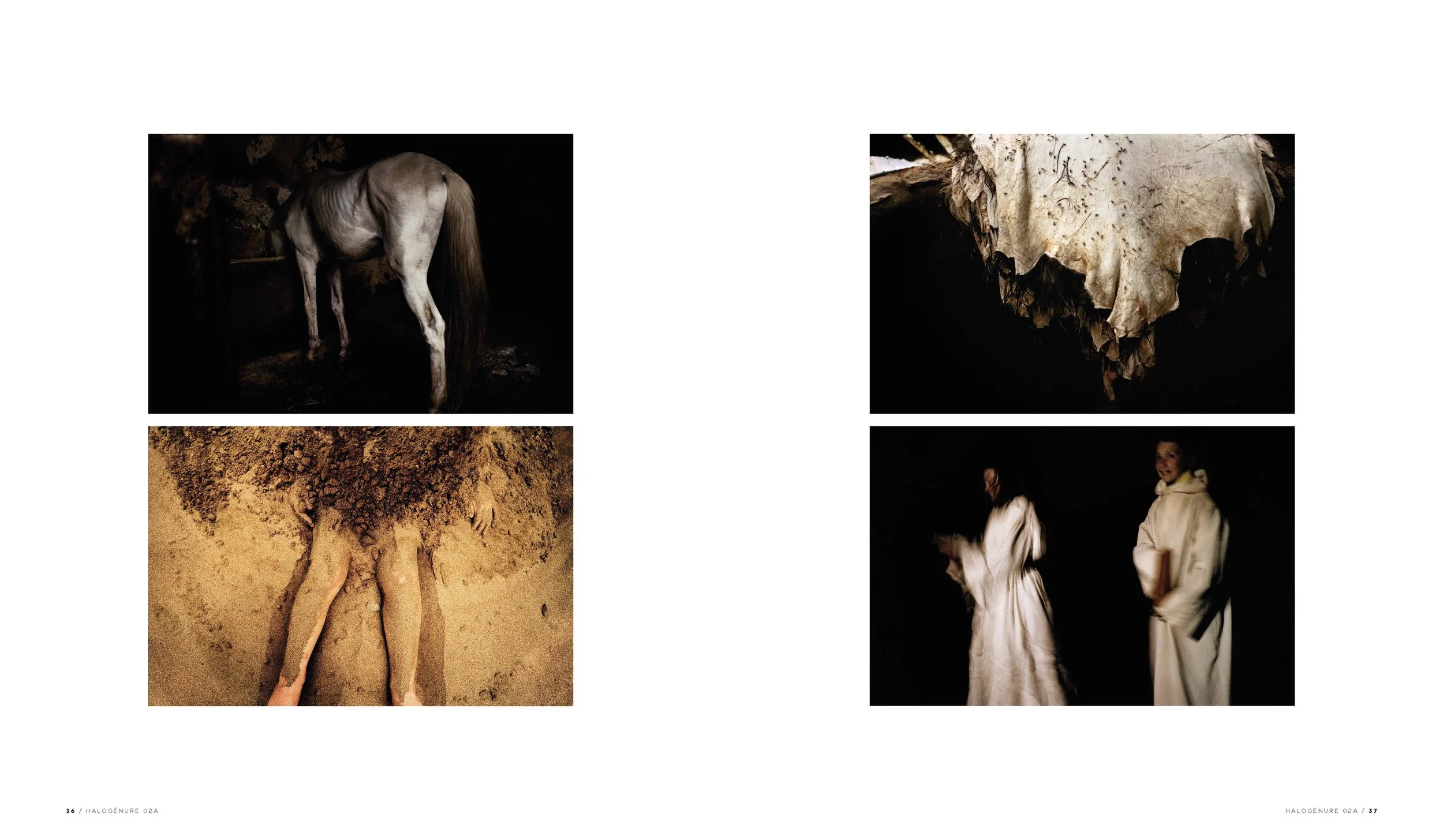 Quatre images artistiques avec des thèmes sombres. La première montre un cheval blanc vu de dos dans une ambiance sombre. La deuxième est une peau animale déchirée. La troisième est une sculpture ou une création avec des bras humains sortant de la te