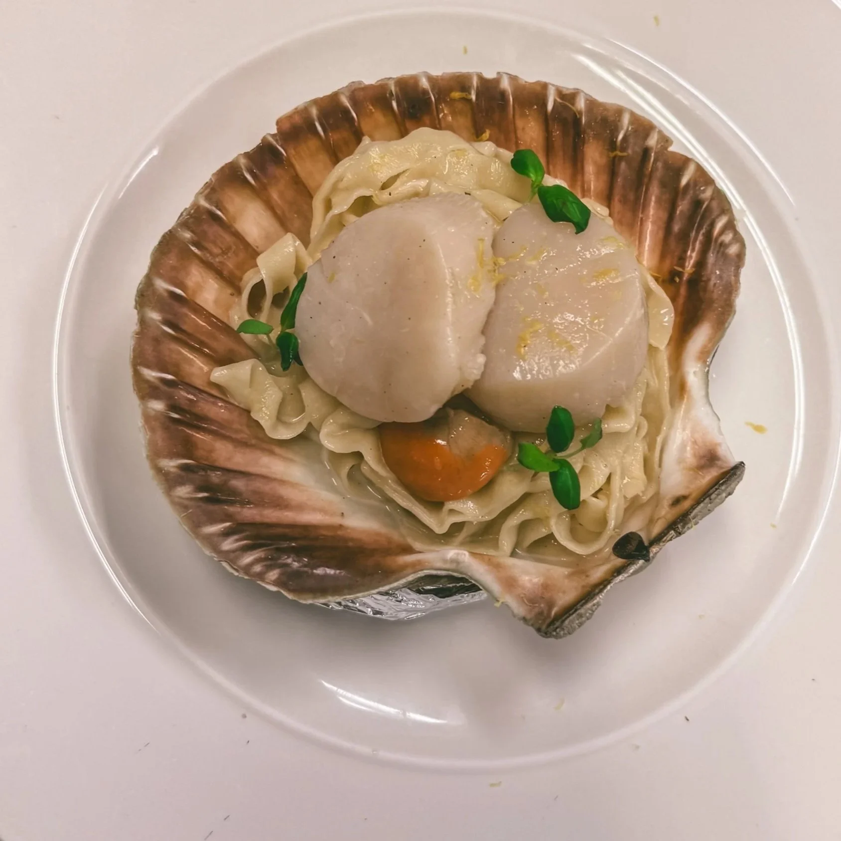 Seafood shell filled with cooked noodles, scallops, and garnished with green herbs, served on a white plate.