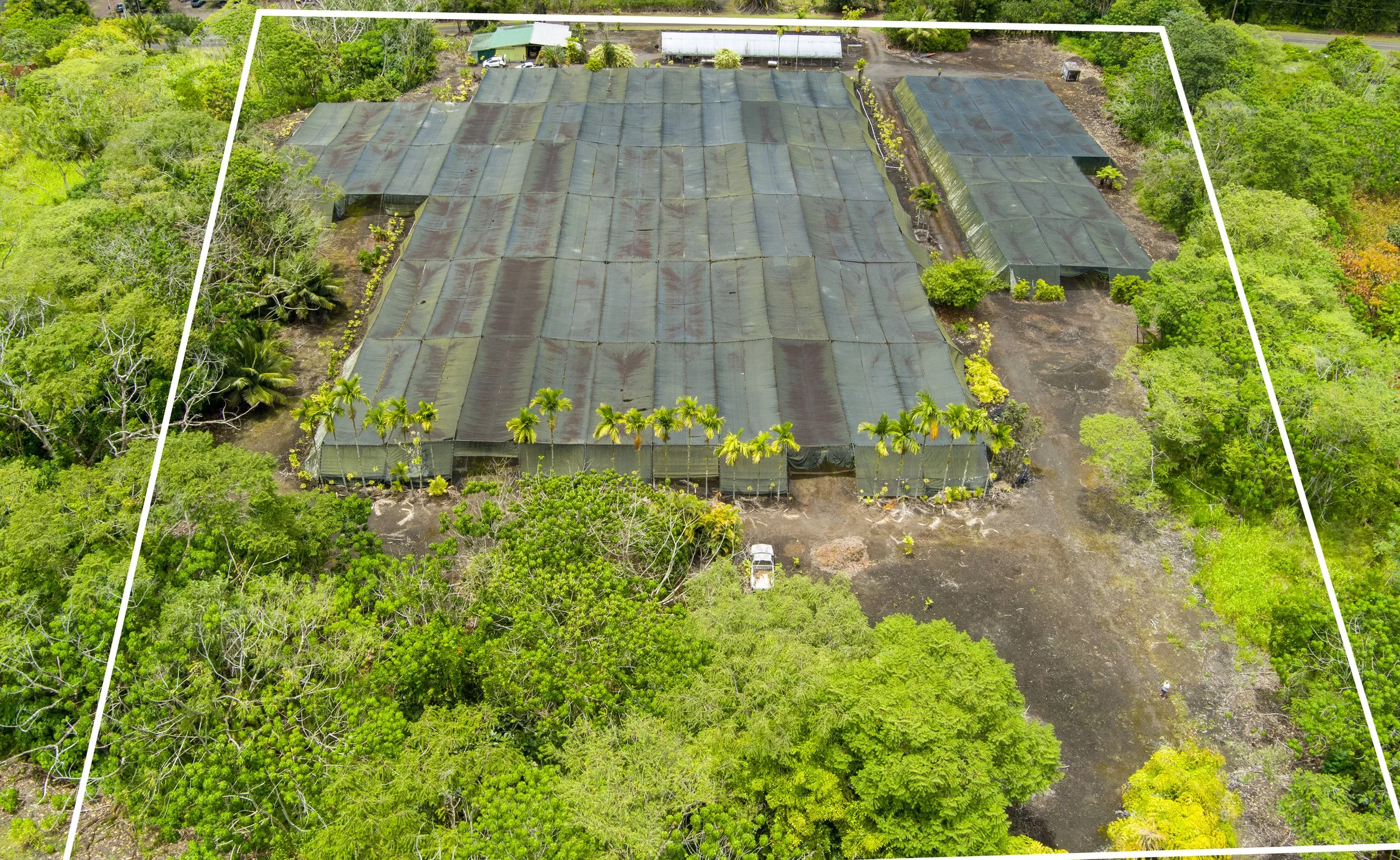 Aerial view tropical flower farm Hilo Hawaii