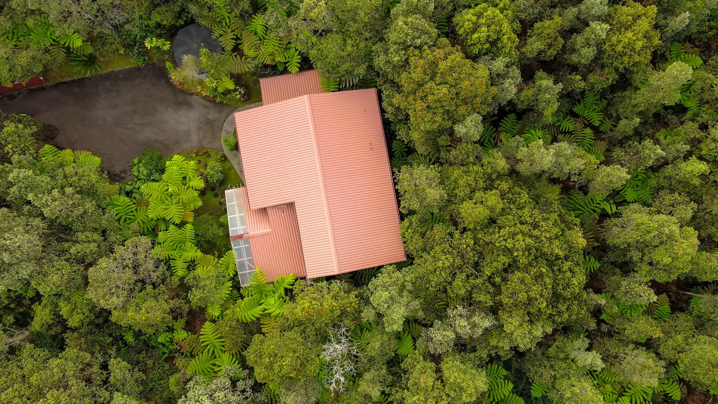 Aerial view secluded cottage Volcano Hawaii
