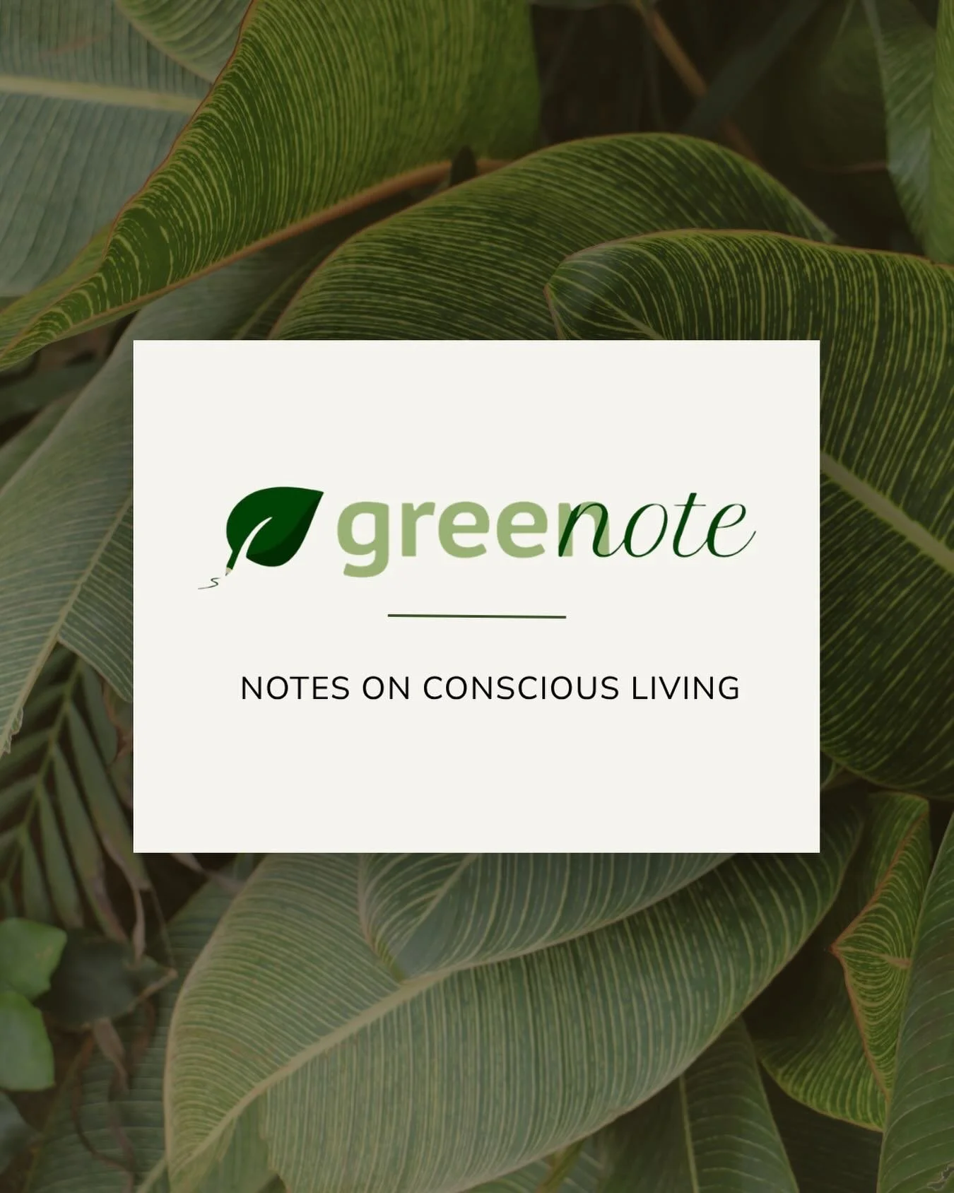 Welcome to The Greenote🌿

This space is dedicated to sustainability in everyday life.

A lot of conversations around sustainability focus on big global problems like climate change, waste, overconsumption, biodiversity loss, and declining natural re