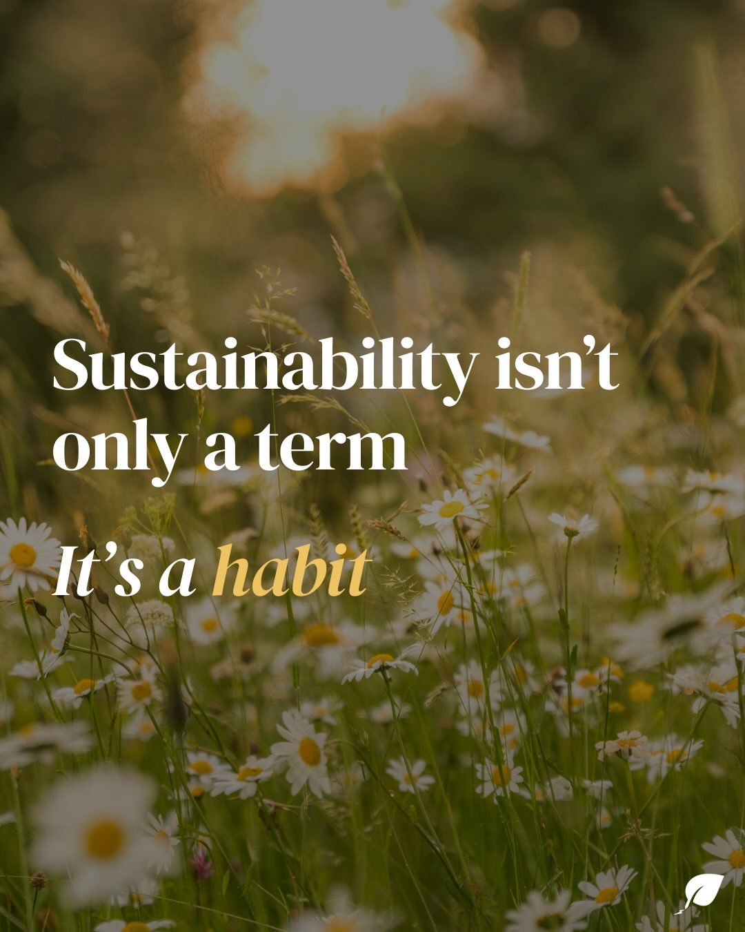 Why do we need to talk about sustainability? Check the full text in the blog📝

Link in bio🌻

#sustainability #sustainableliving #climateaction #sustainablefuture #climateawareness