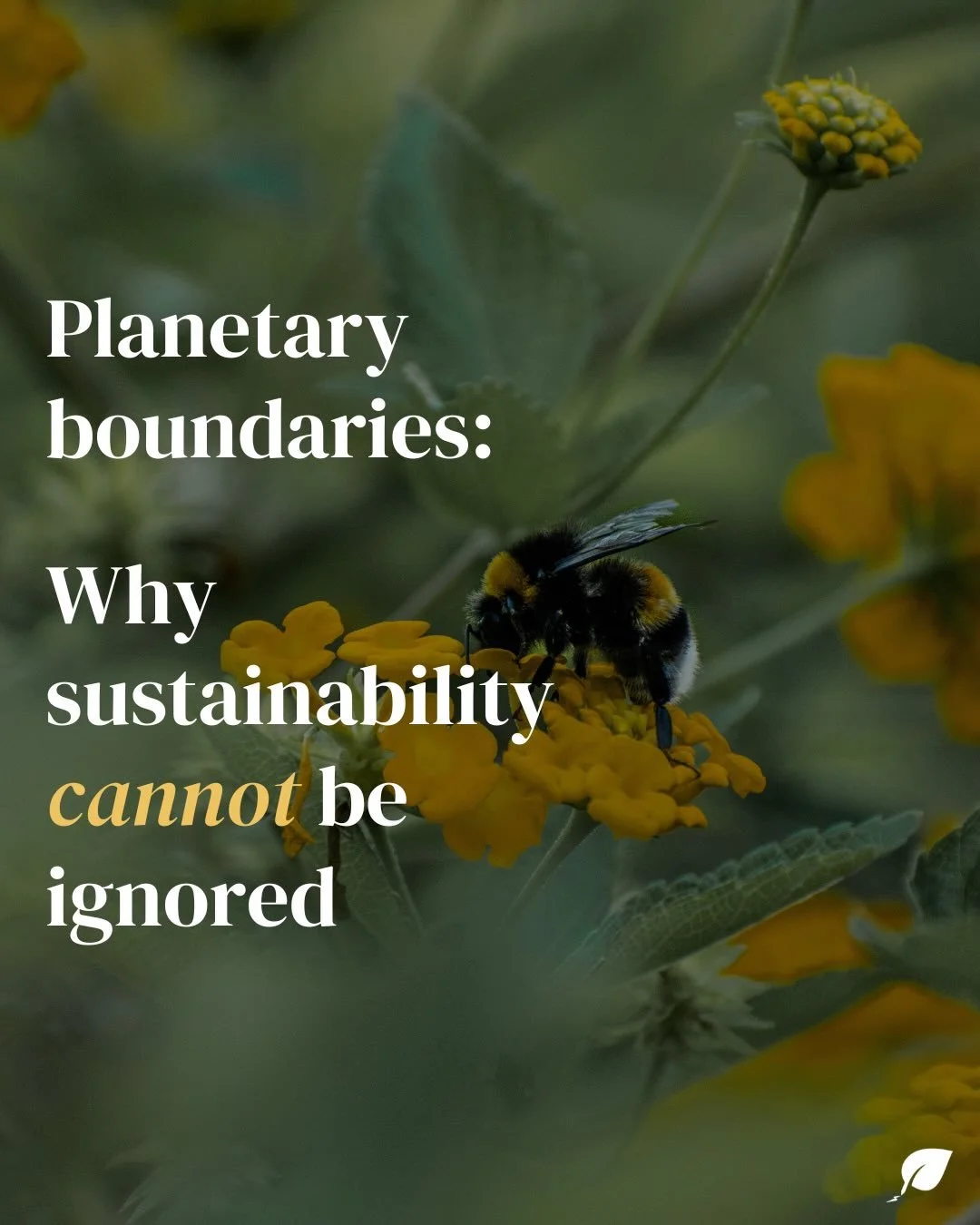 New article in the blog✨

Earth has limits and we are constantly pushing them. Why do we need to be more conscious of the results of our actions? Find out here☝️ Full text in the blog. Link in bio.