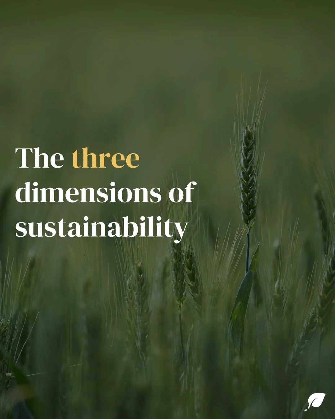 New blog post✨

Sustainability is more than protecting the environment. It also includes people and the economy🌼

Read the full article on the blog - link in bio