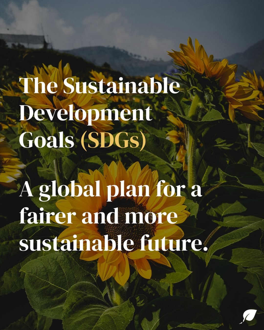New blog post!

The Sustainable Development Goals (SDGs) are the world&rsquo;s shared framework for a more sustainable future.

Adopted by all UN member states in 2015, the SDGs address some of the biggest challenges facing humanity, from poverty and