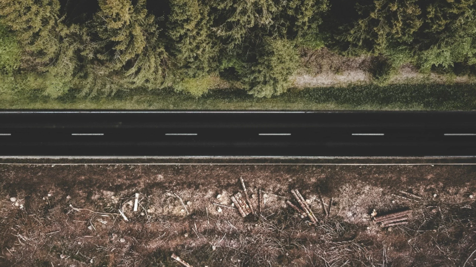 Short-term thinking: The real enemy of sustainability