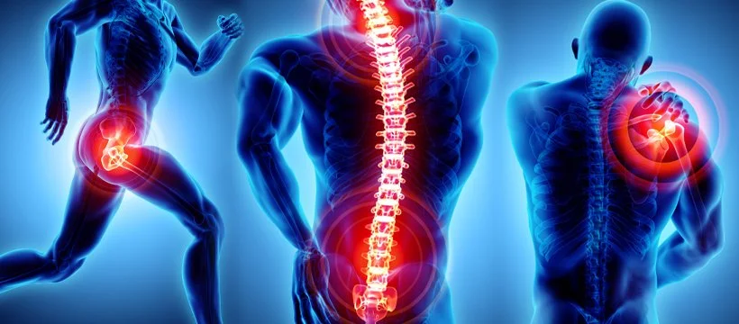 Pain Relief Palpation-
A treatment tailored to areas of discomfort. Uses advanced methods to help relieve chronic aches, injuries, and pain patterns.
