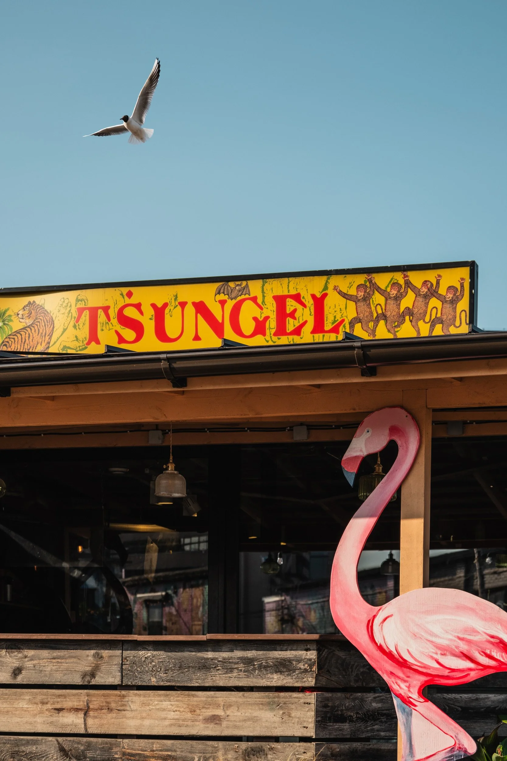 A seagull flying over a sign that reads 'T'SUNGEL,' surrounded by illustrations of jungle animals and a flying bat. Part of a pink flamingo statue is visible below the sign.