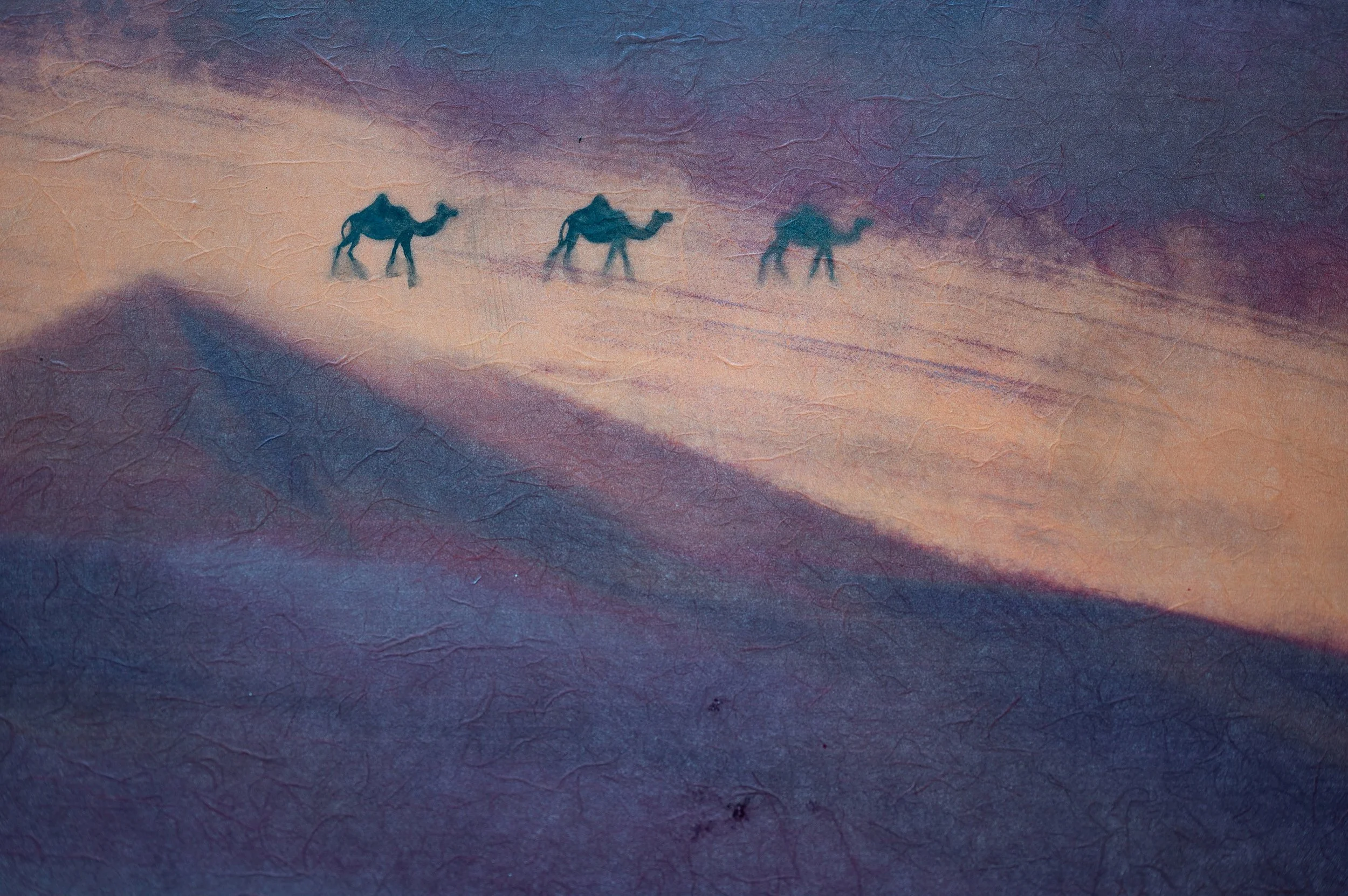 Tre cammelli che attraversano il deserto al tramonto