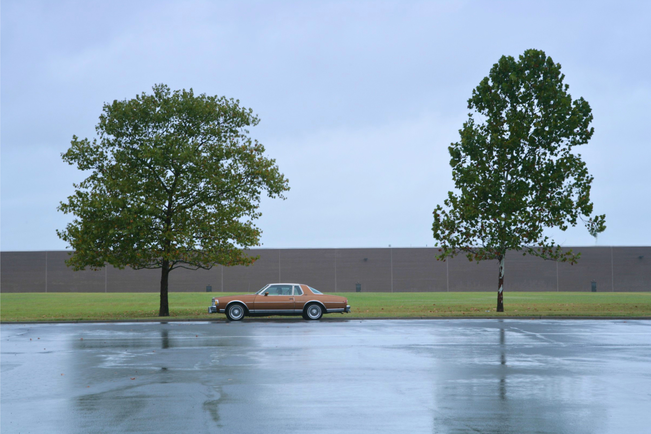 A vintage brown car parked on a wet parking lot, with two trees and a large building wall in the background under an overcast sky.  Photo from The Energies.