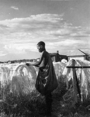 White Gold of Tanganyika