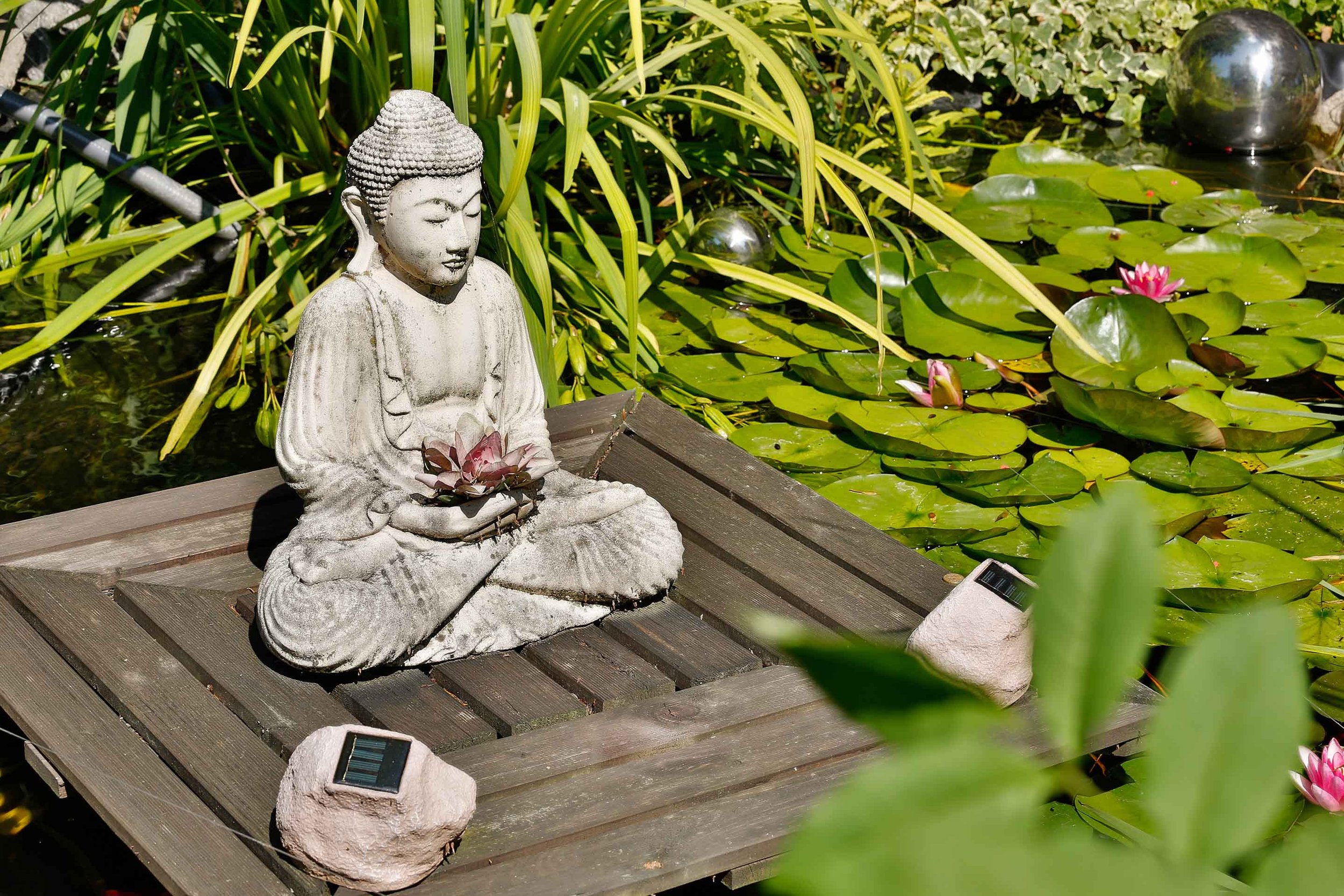 Steinerne Buddha-Statue in einem Teich mit Seerosen und grünen Pflanzen.