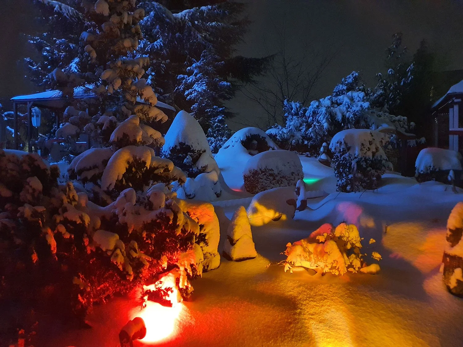 Schneebedefter Garten bei Nacht mit bunten Lichter und dunklem Himmel im Hintergrund.