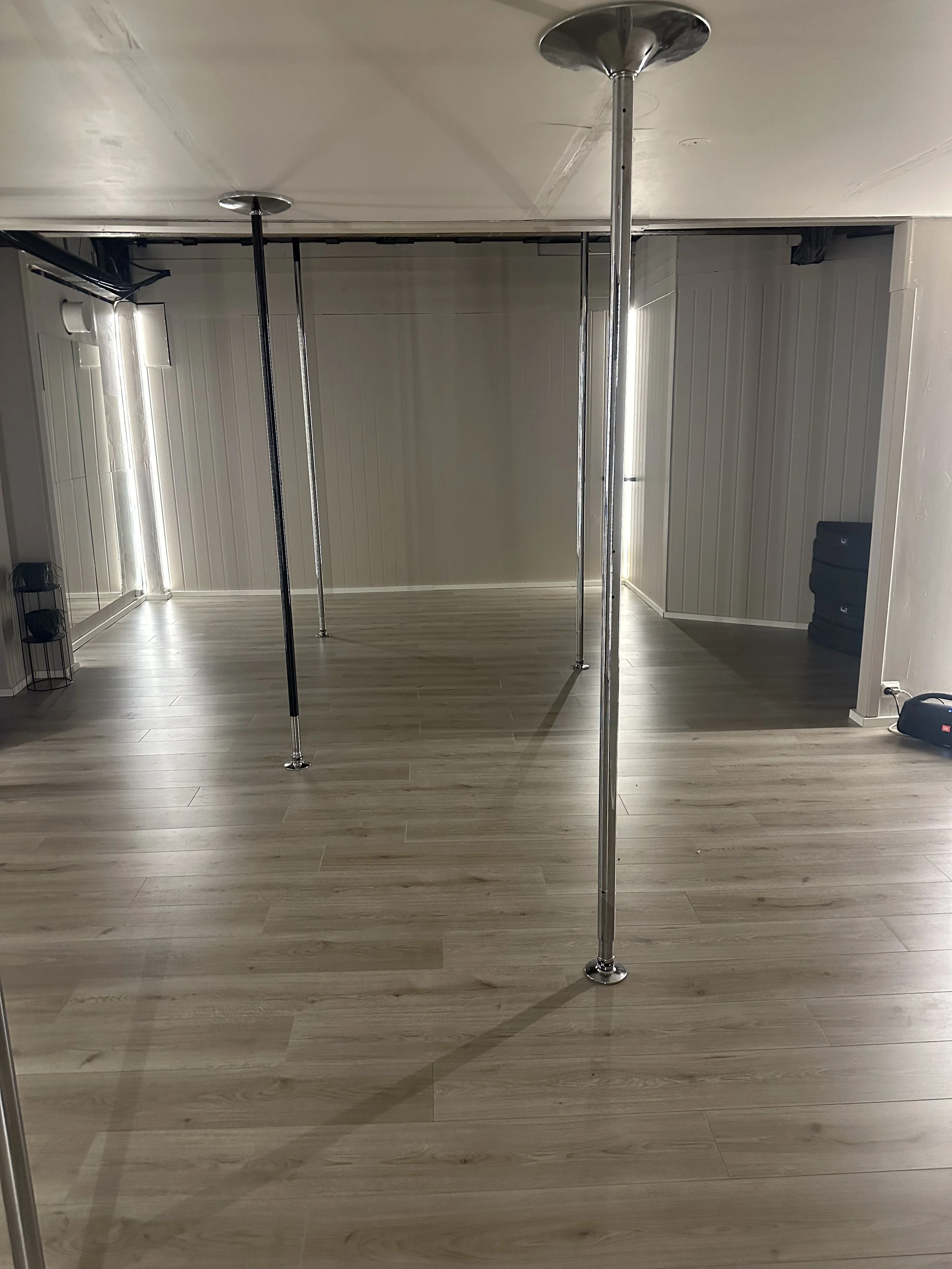 The pole studio. The image shows a well lit studio with four poles.