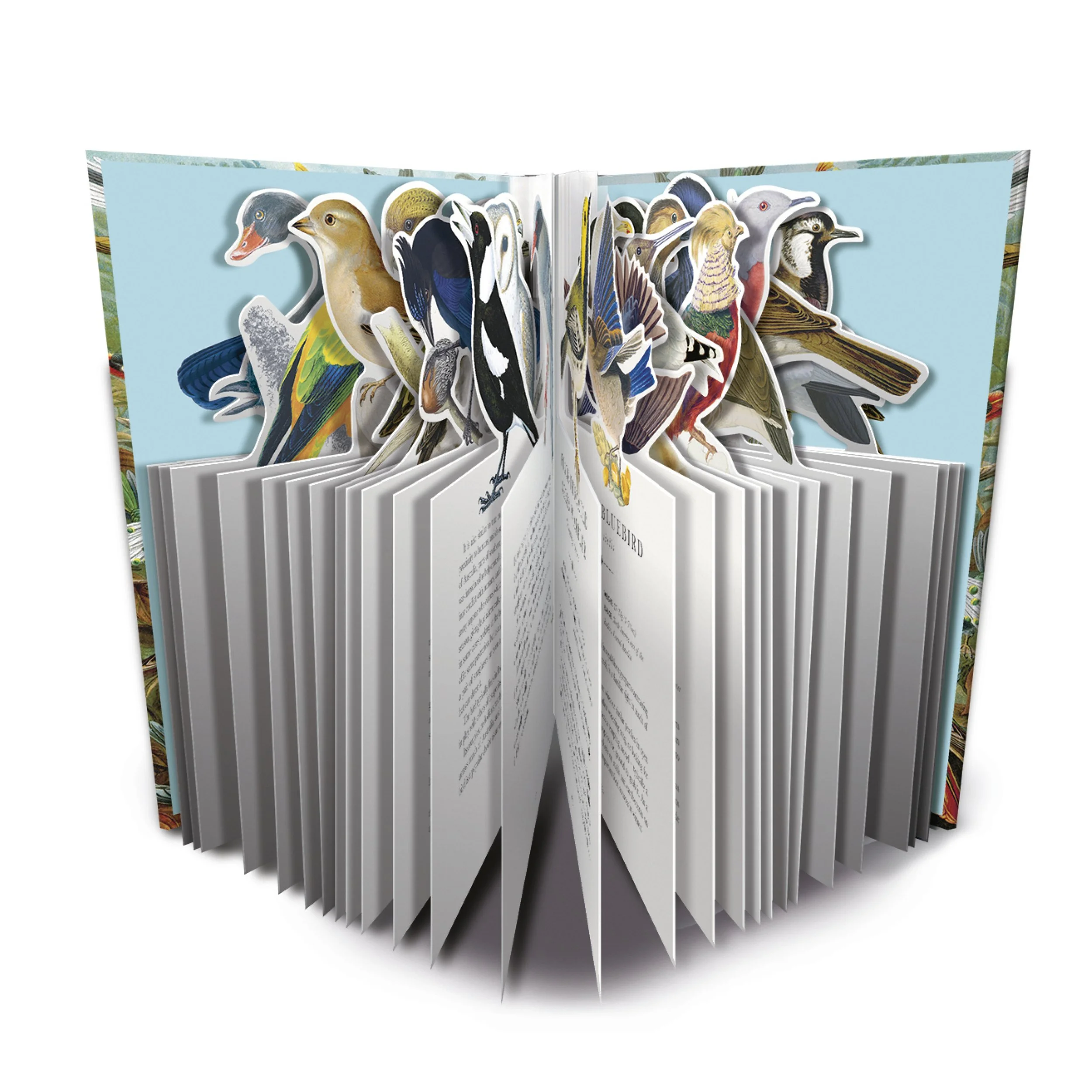 5 Paperscapes3.jpg