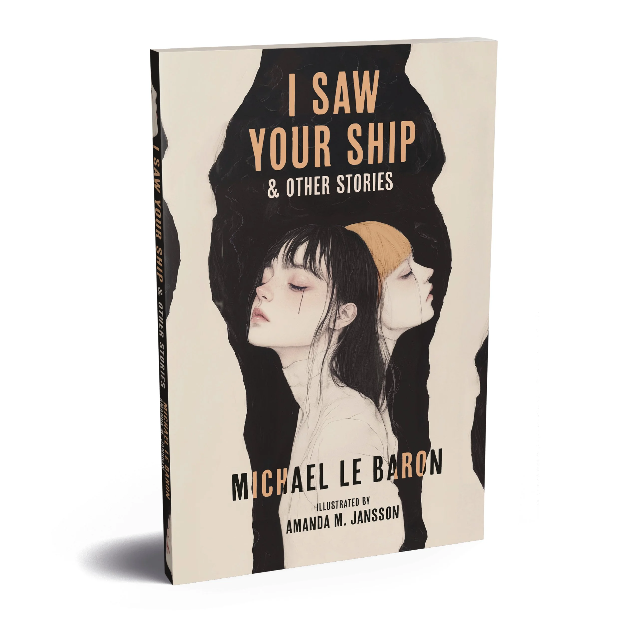 Book cover titled 'I Saw Your Ship & Other Stories' by Michael Le Baron, illustrated by Amanda M. Janson, featuring a black and white illustration of two women's faces.