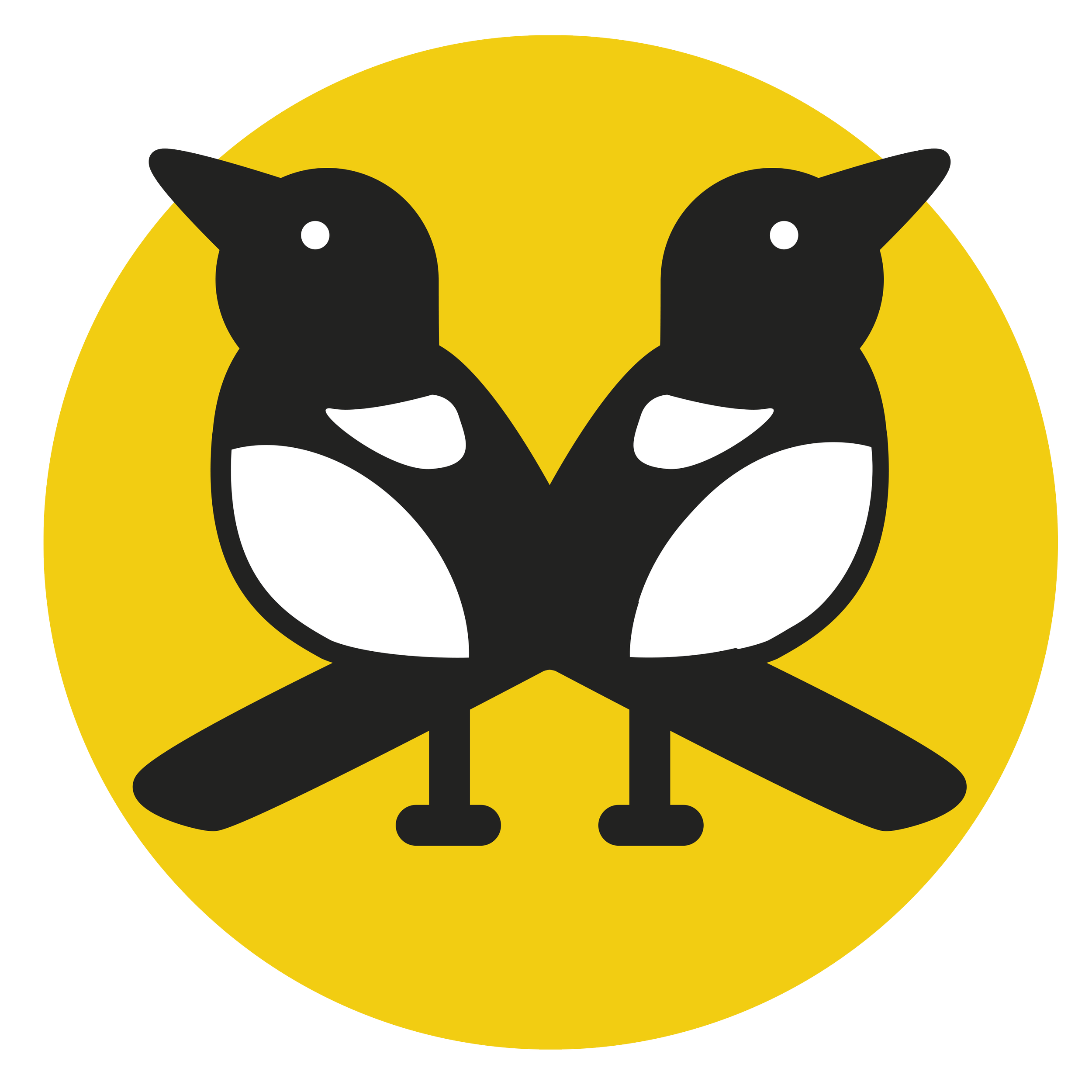 The logo of A Mischief of Magpies. A graphic illustration of a pair of magpies crossed over each other, over a yellow circular background.